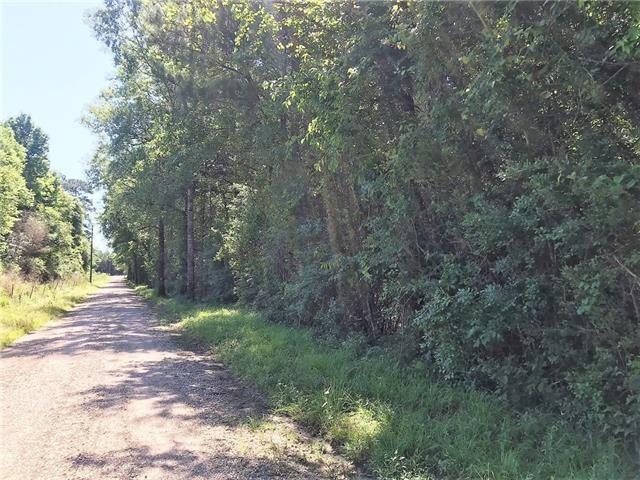 Homes for sale in Sun, LA | 61 Acres Stein Rd, Sun, LA 70463 | MLS# 2548277