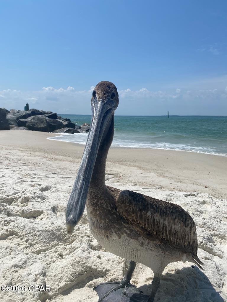 Image 66 For 106 25th Street