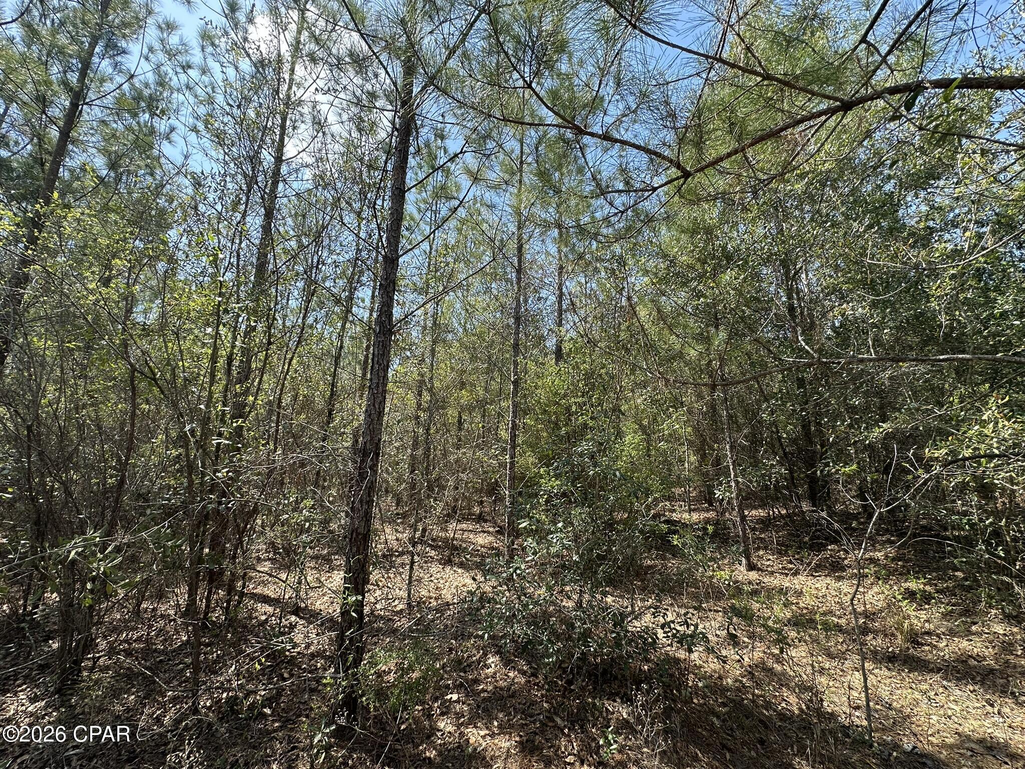 Image 3 For Tract#6421 Nw Clayton Road