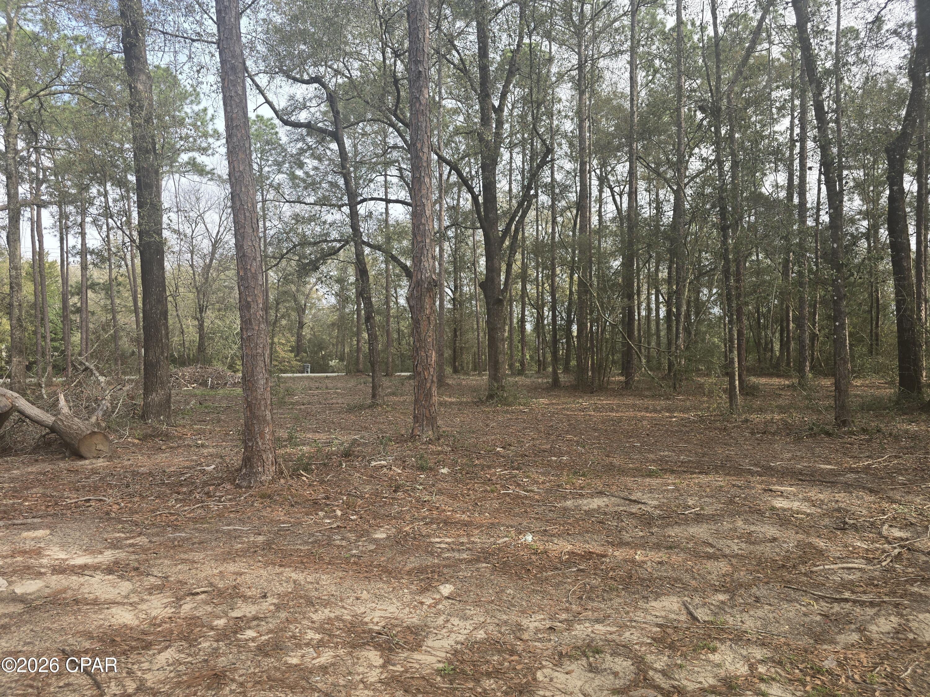 Image 17 For 445 Cat Island Road