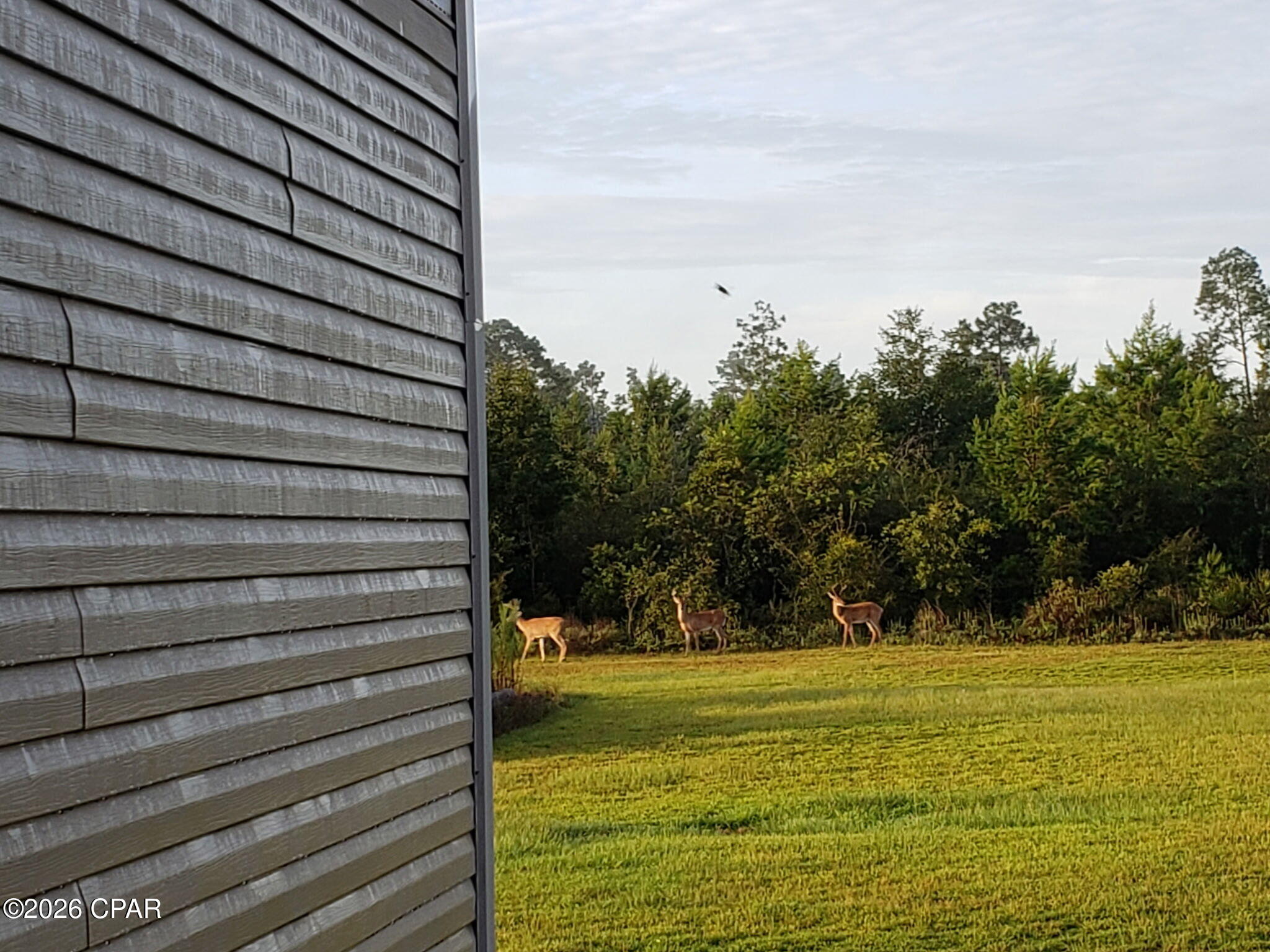 Image 7 For 22985 Lamont Road