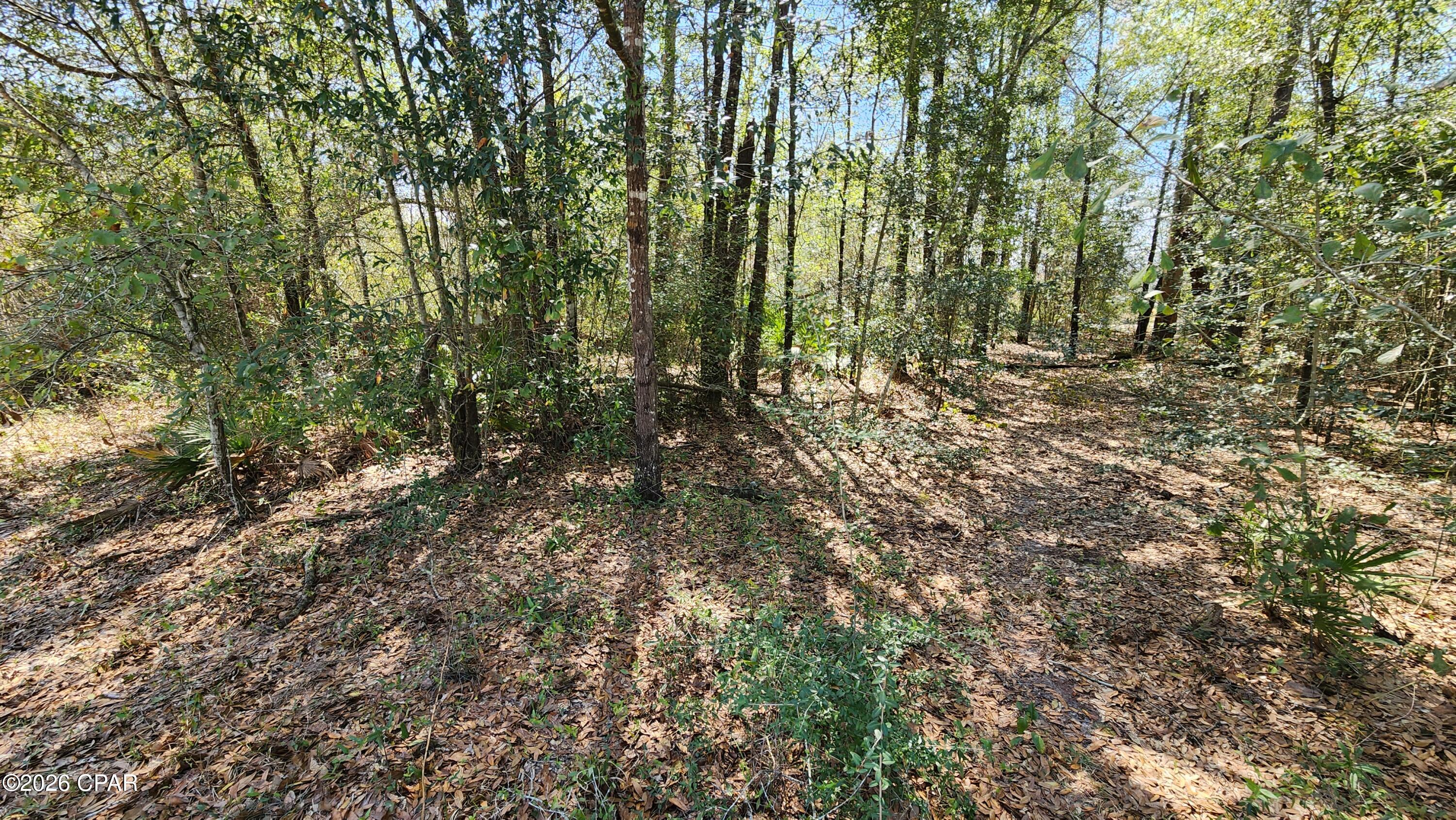 Image 3 For 000 Edgewood Road