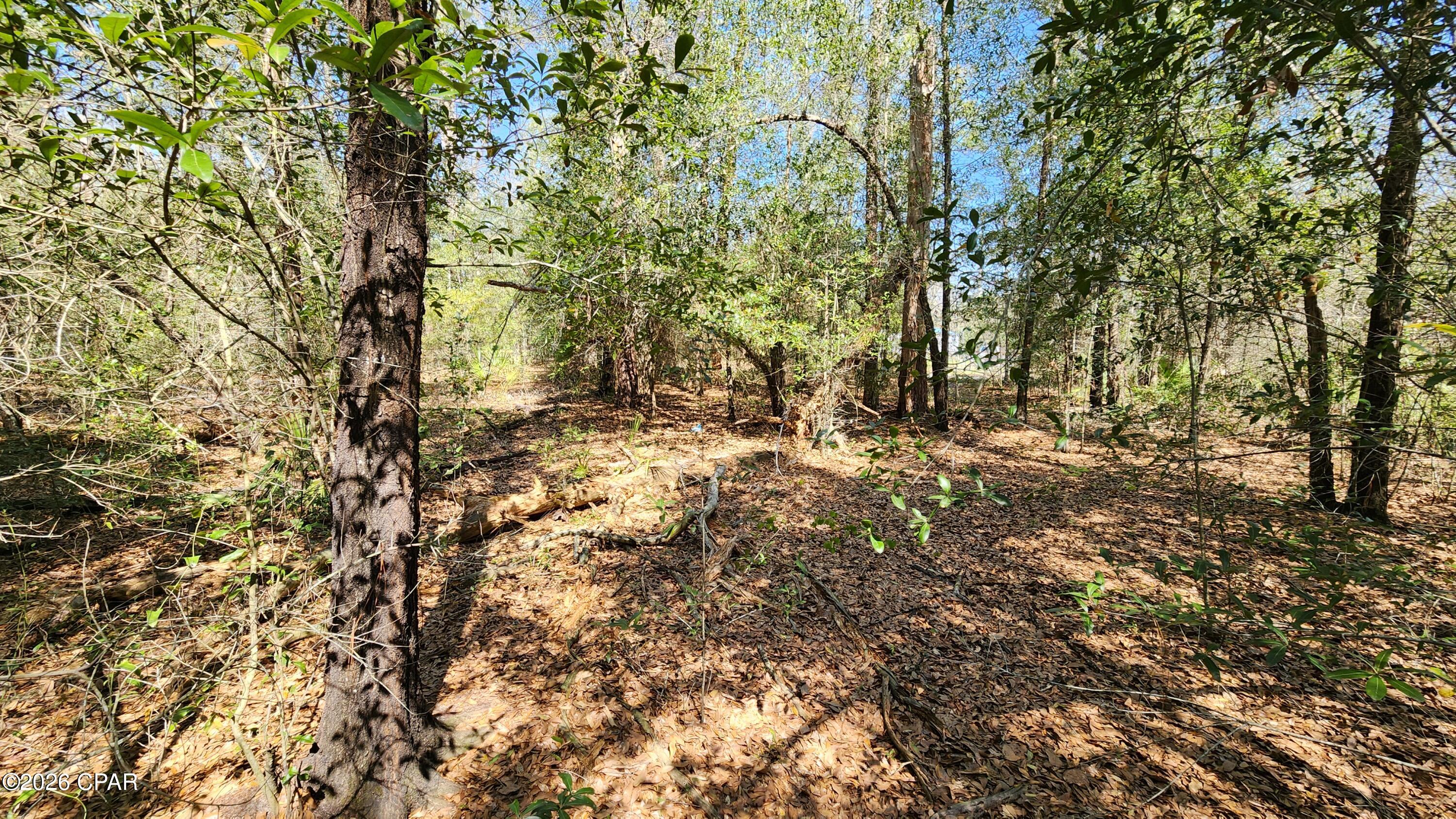 Image 4 For 000 Edgewood Road