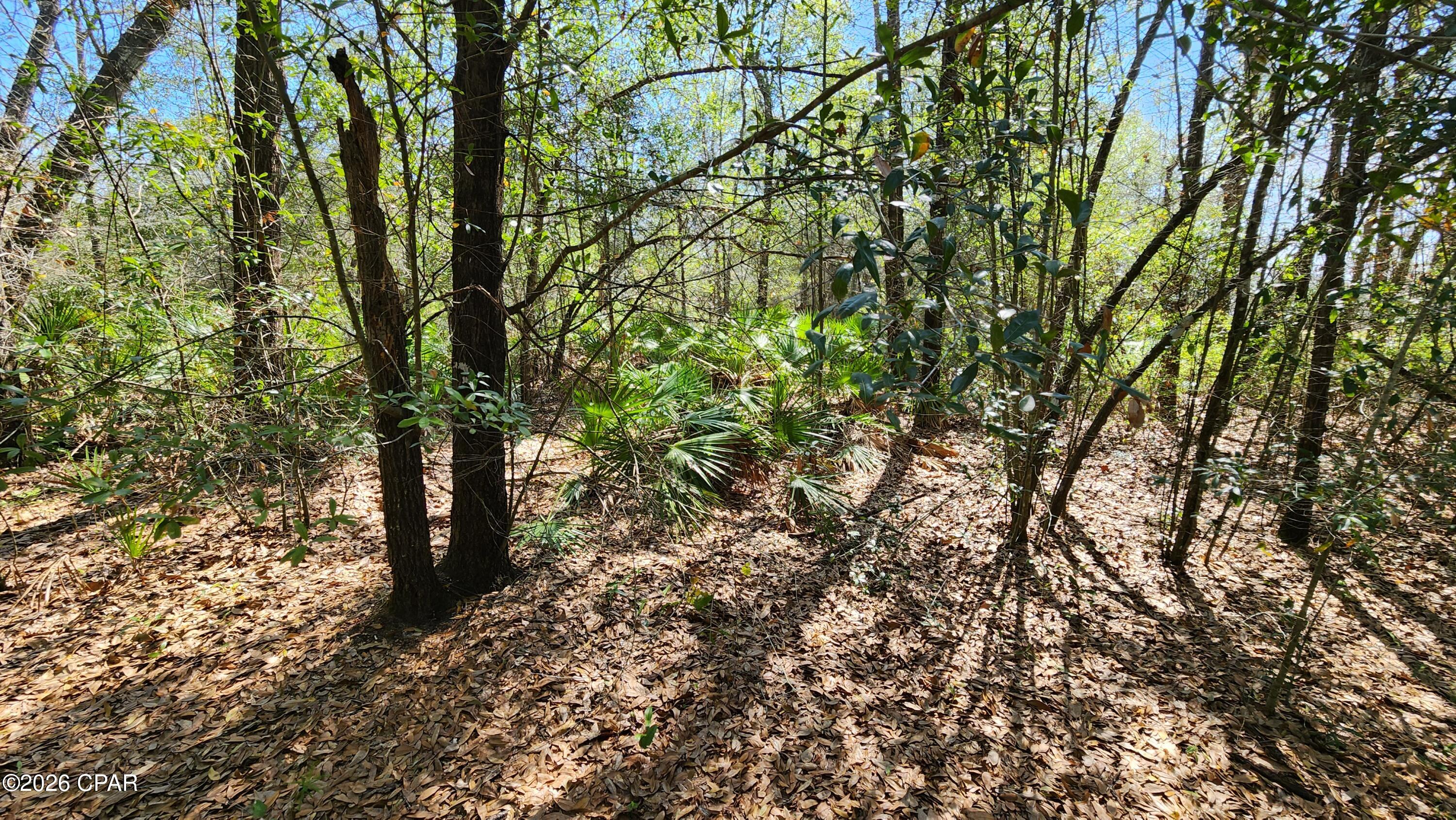 Image 5 For 000 Edgewood Road