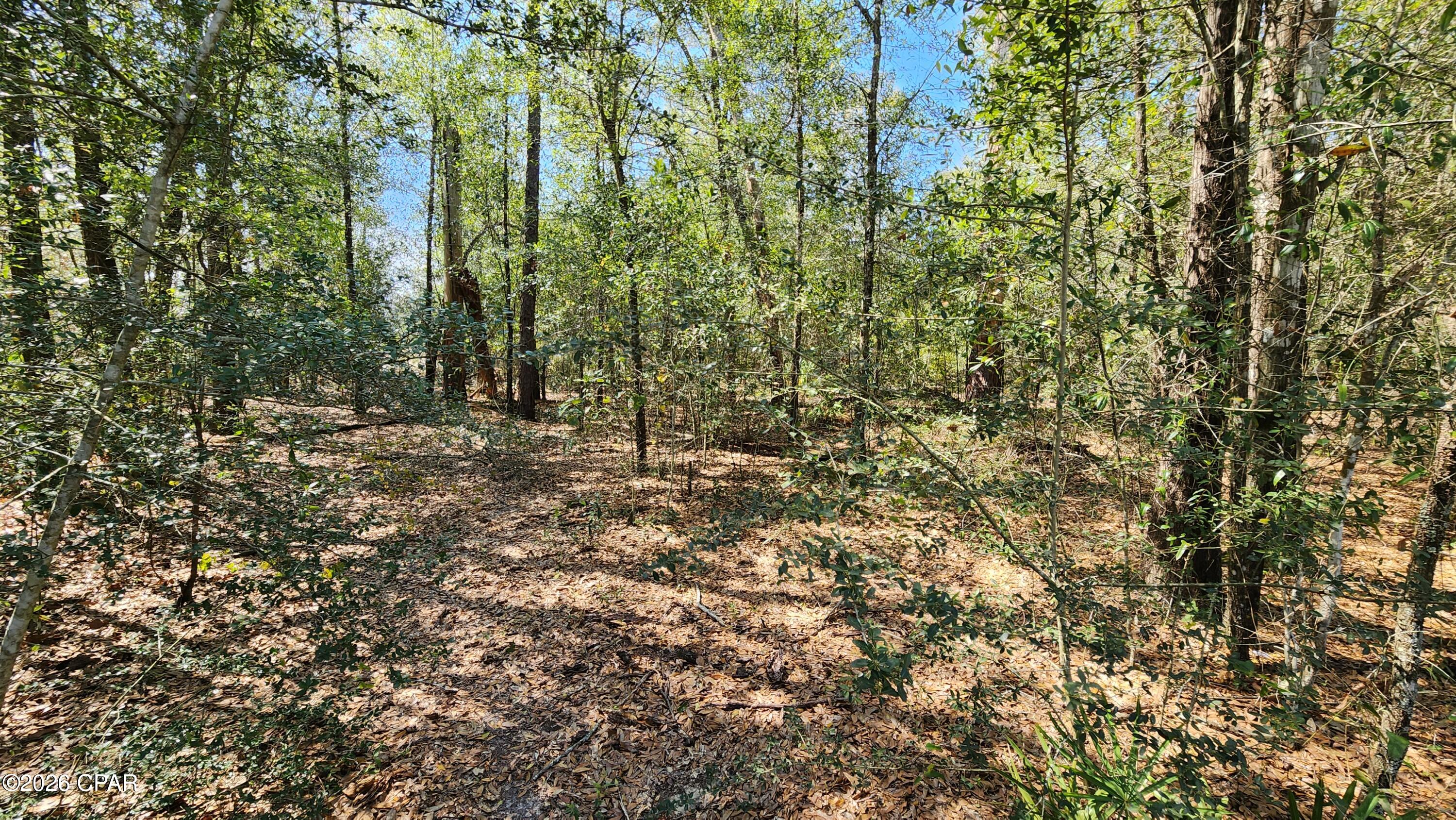 Image 6 For 000 Edgewood Road