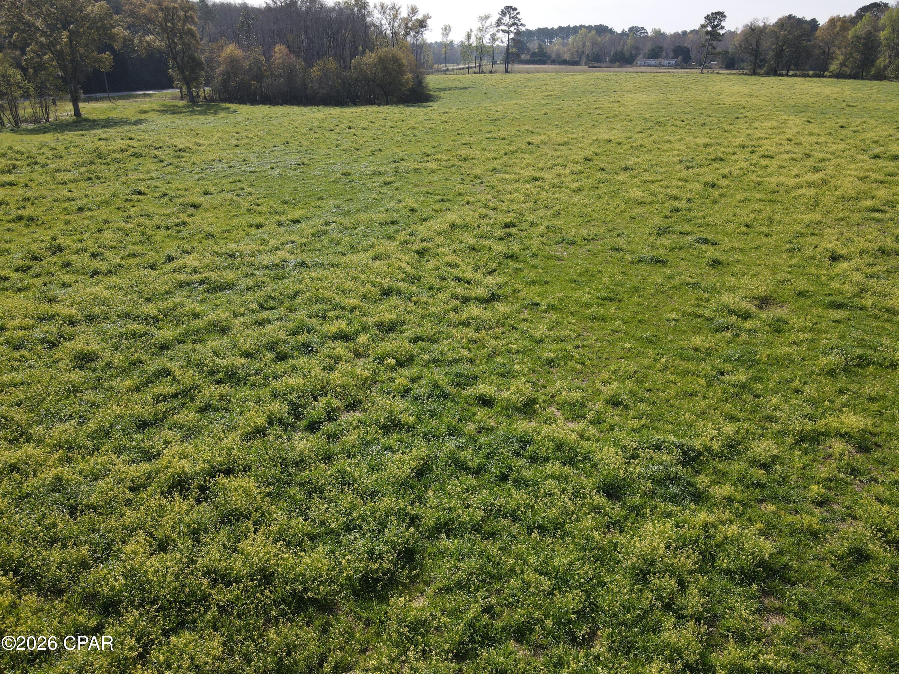 Image 36 For 2344 Highway 179a