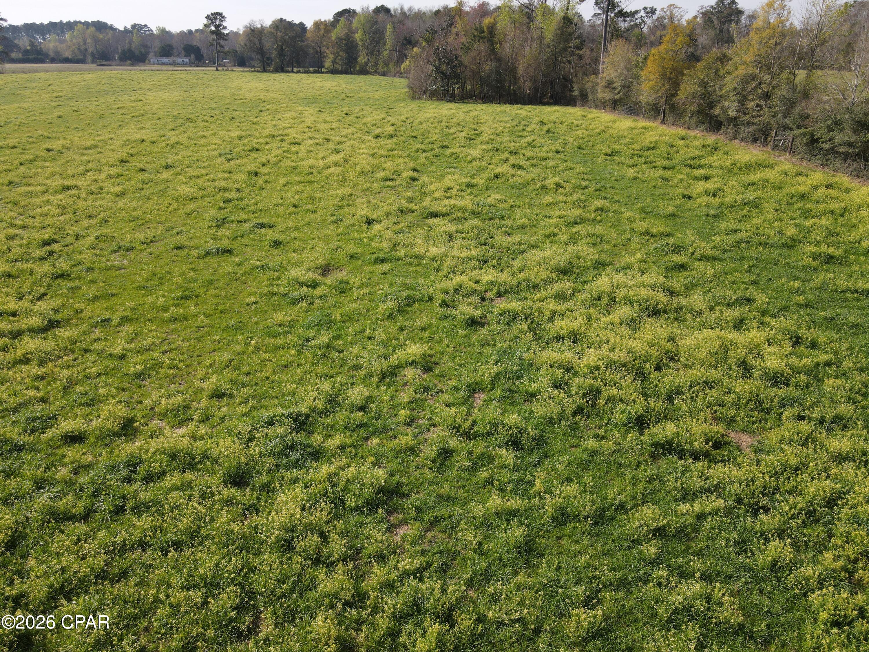 Image 37 For 2344 Highway 179a