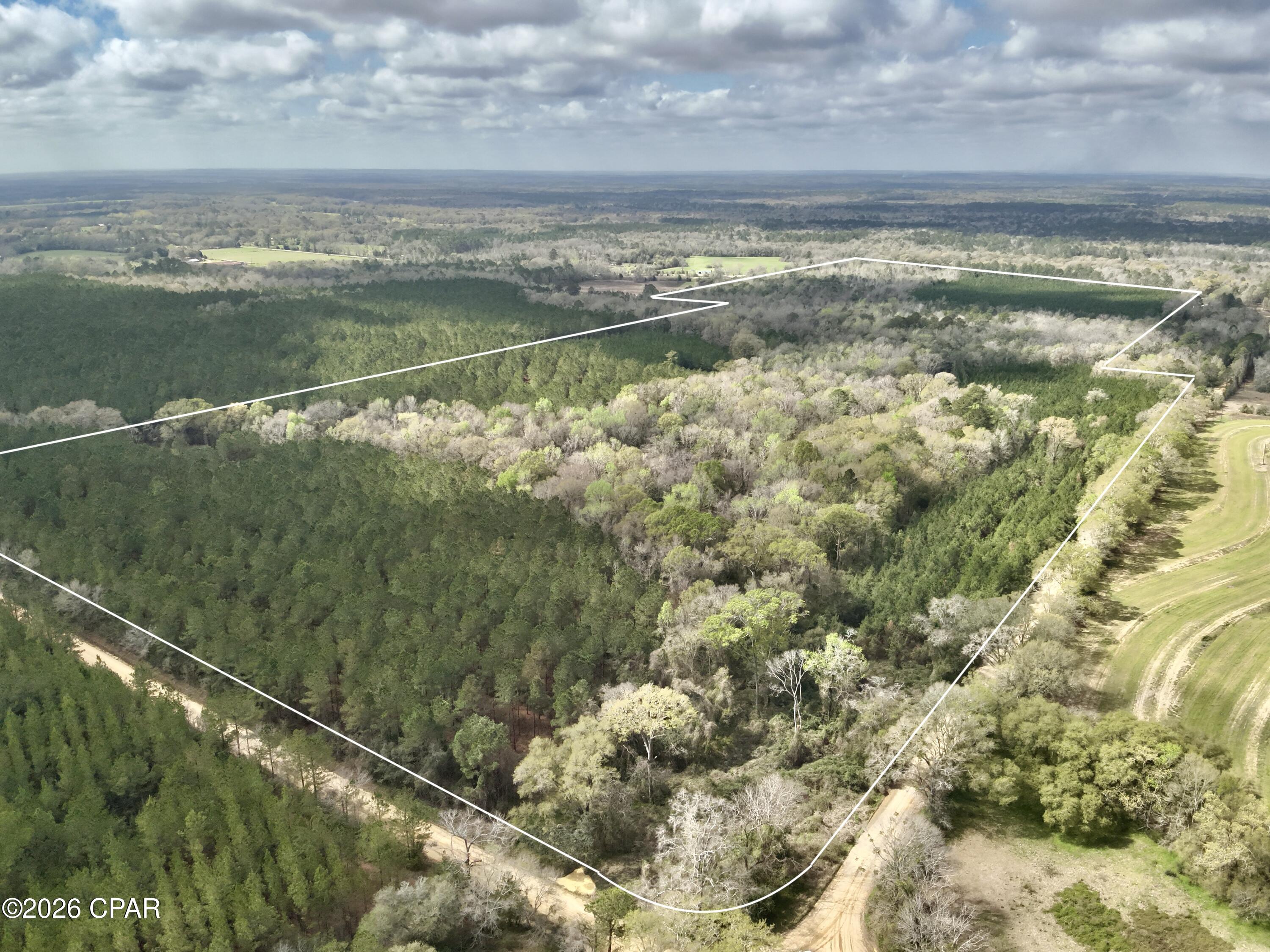 Details for 122ac Hwy 179, Bonifay, FL 32425