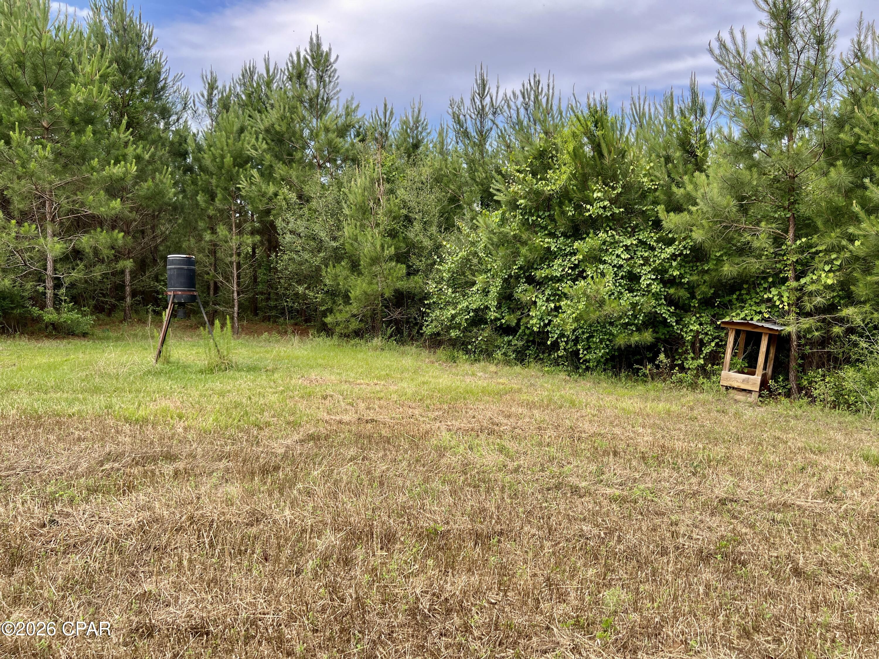 Image 10 For 122ac Hwy 179