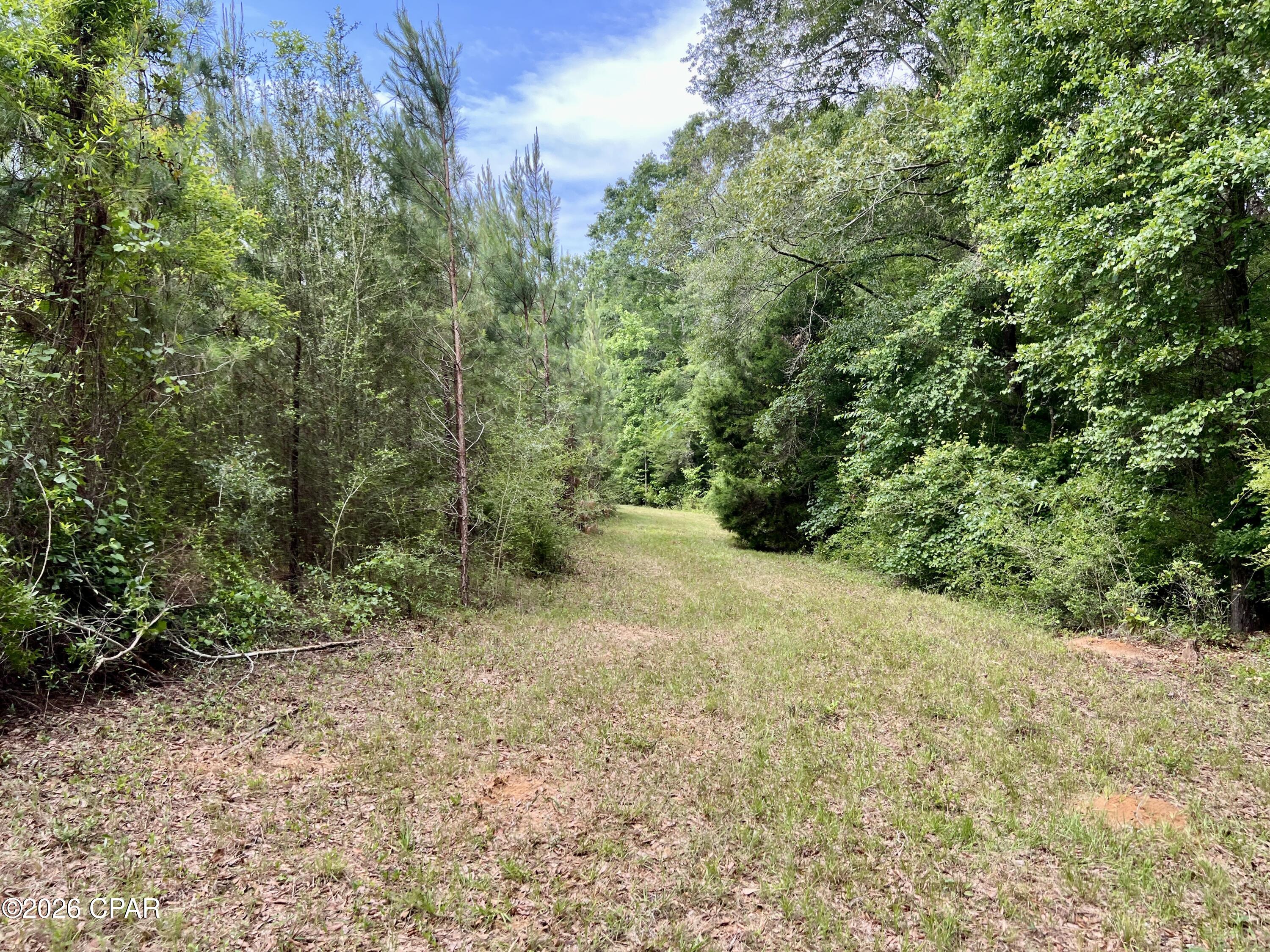 Image 13 For 122ac Hwy 179