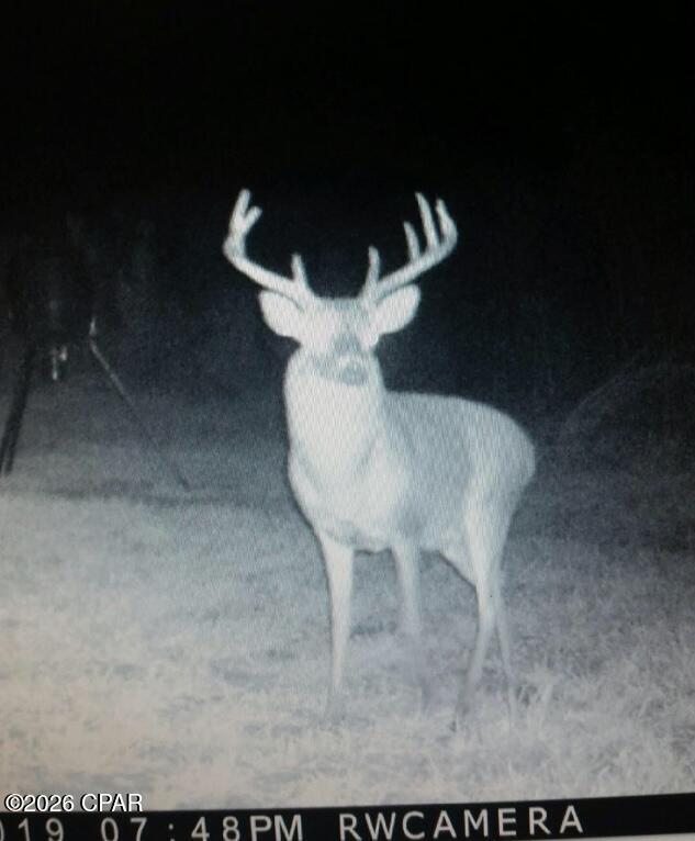 Image 14 For 122ac Hwy 179