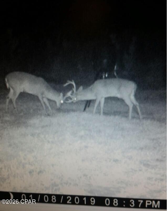 Image 15 For 122ac Hwy 179