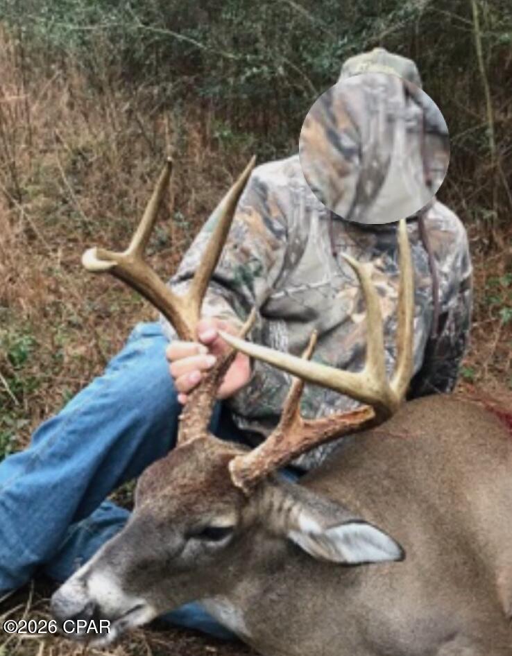 Image 16 For 122ac Hwy 179