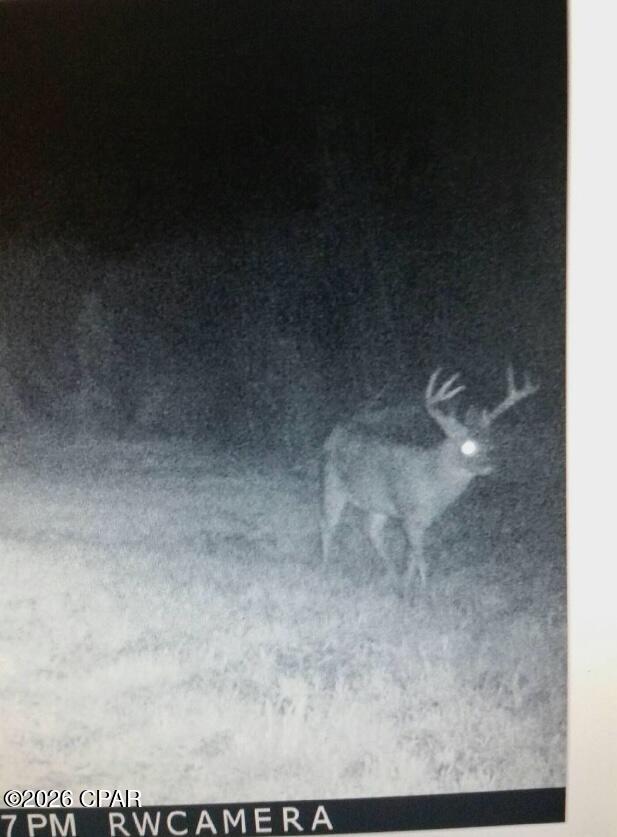 Image 16 For 122ac Hwy 179