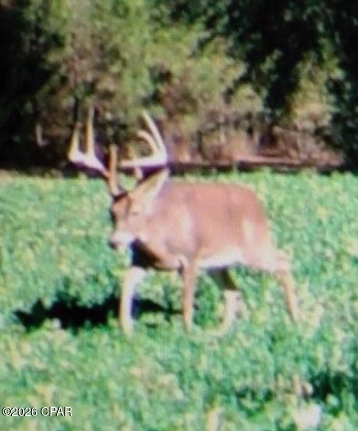 Image 22 For 122ac Hwy 179