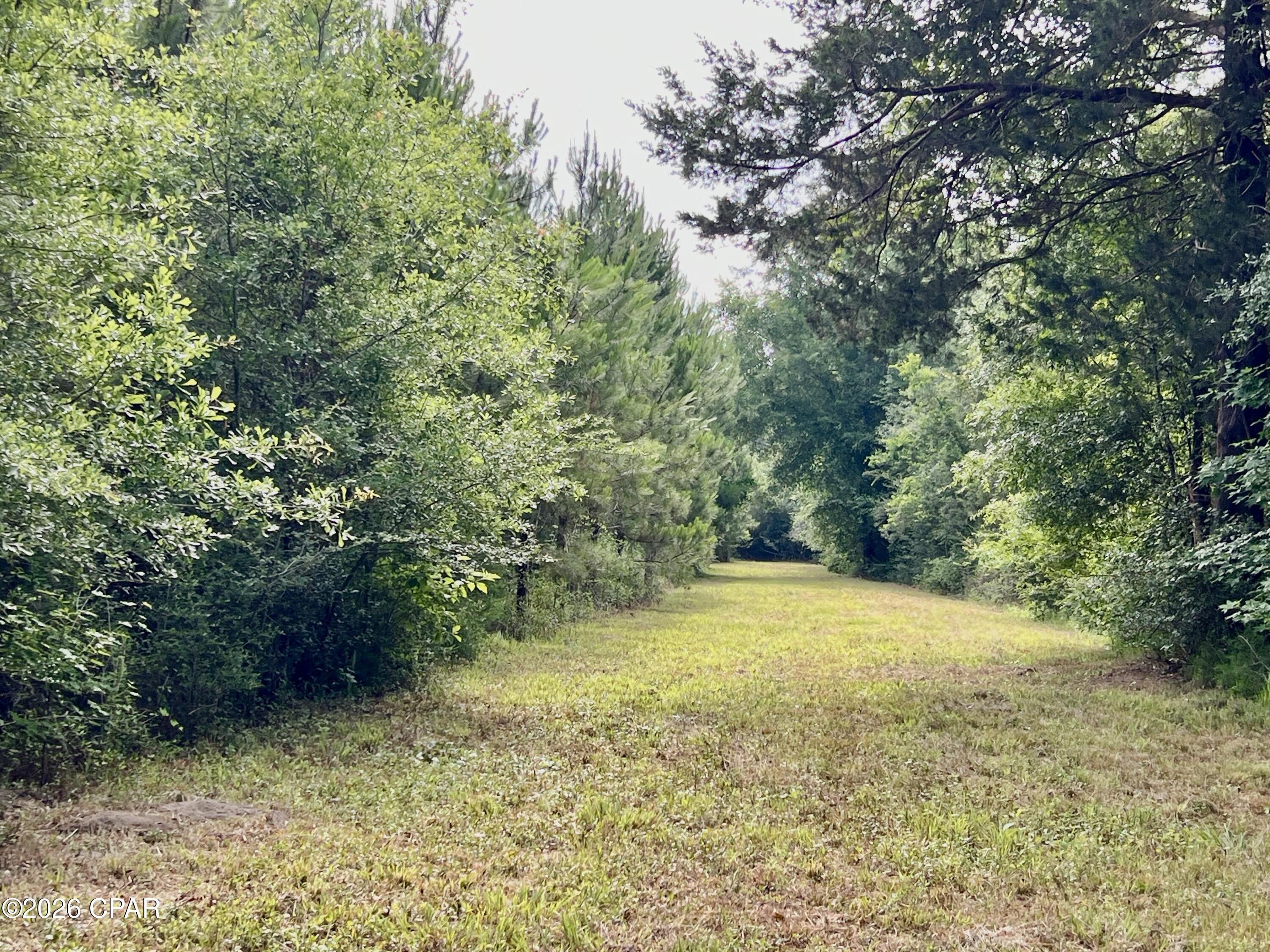 Image 24 For 122ac Hwy 179