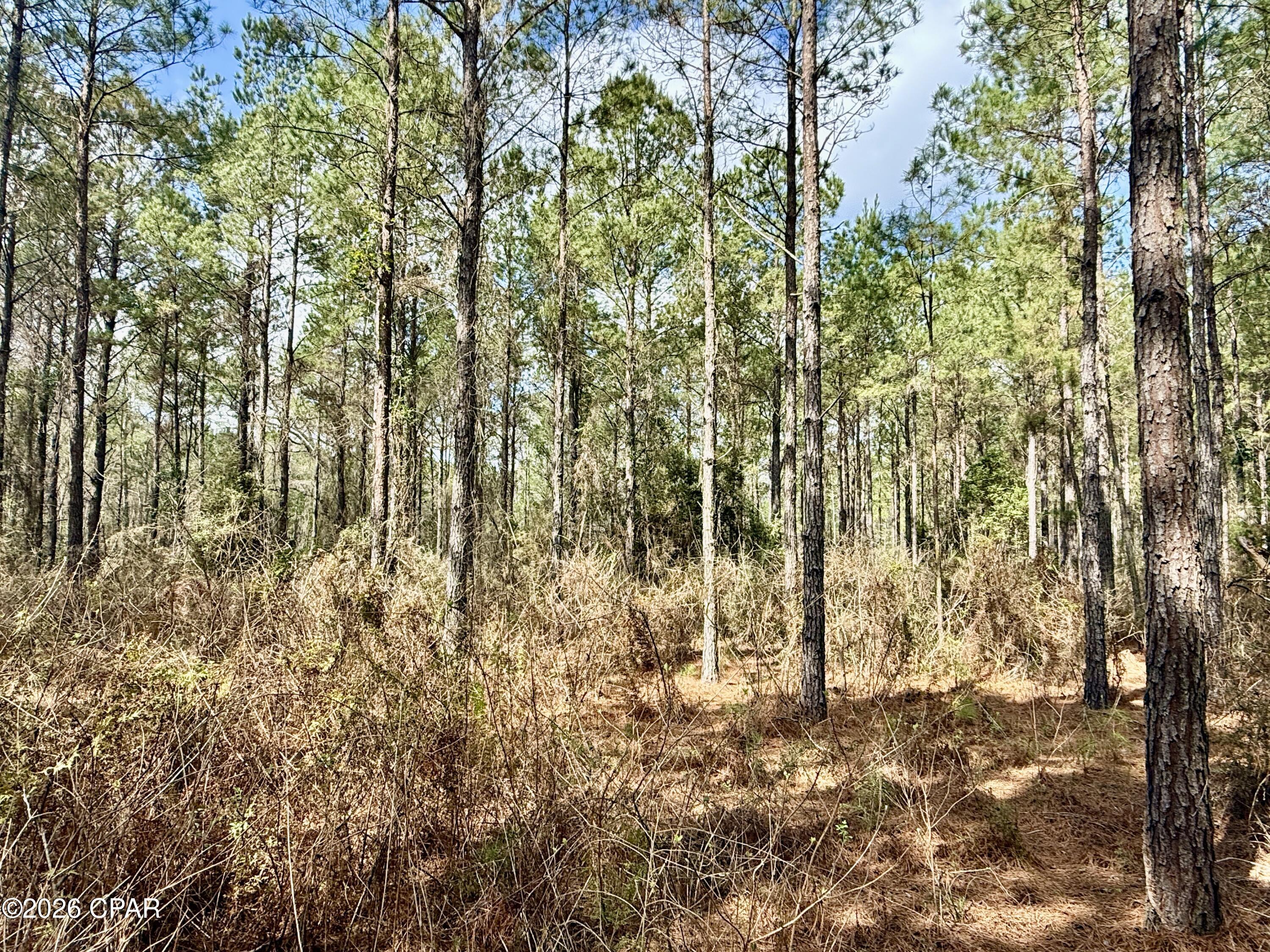 Image 26 For 122ac Hwy 179