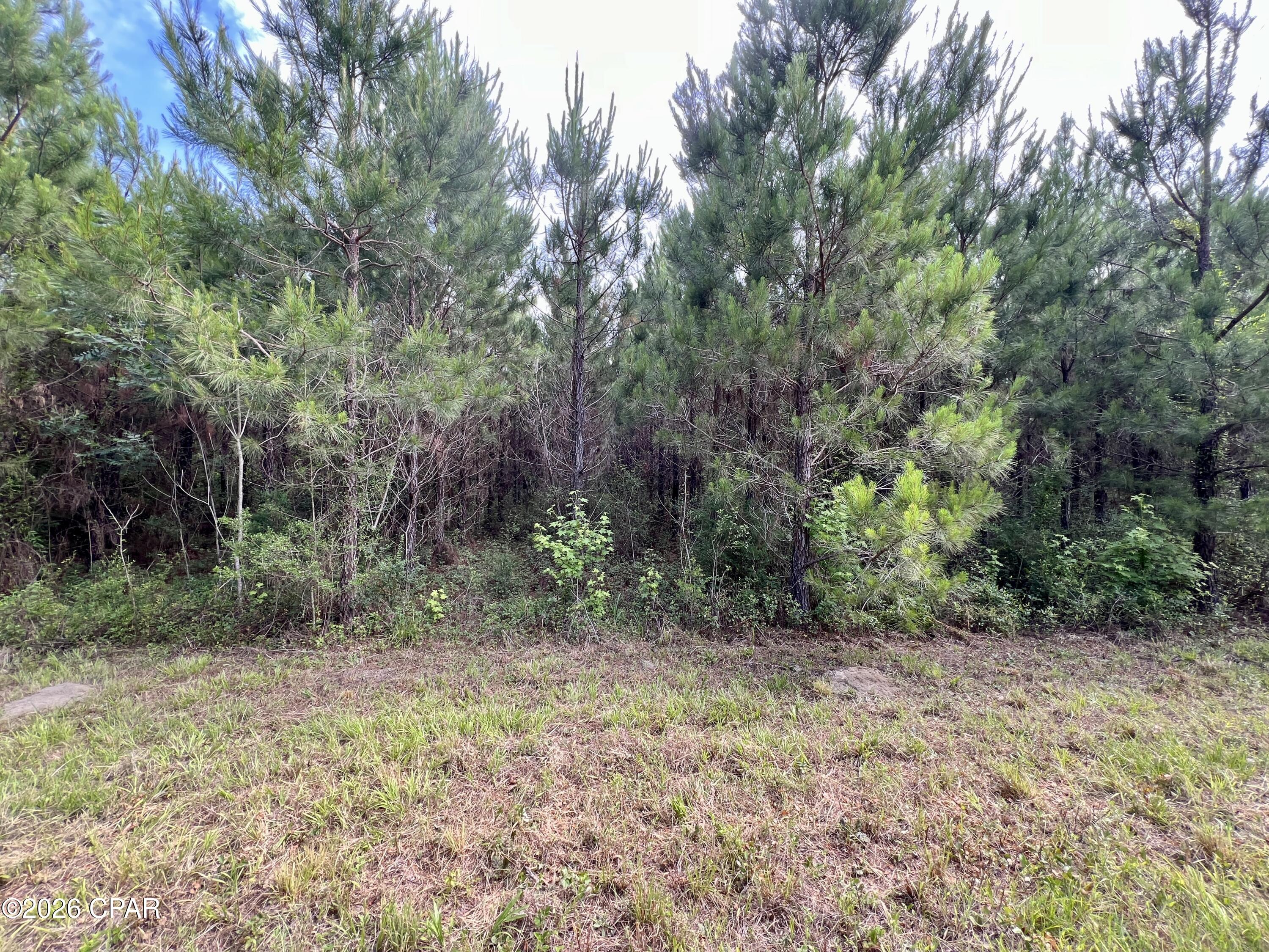 Image 31 For 122ac Hwy 179