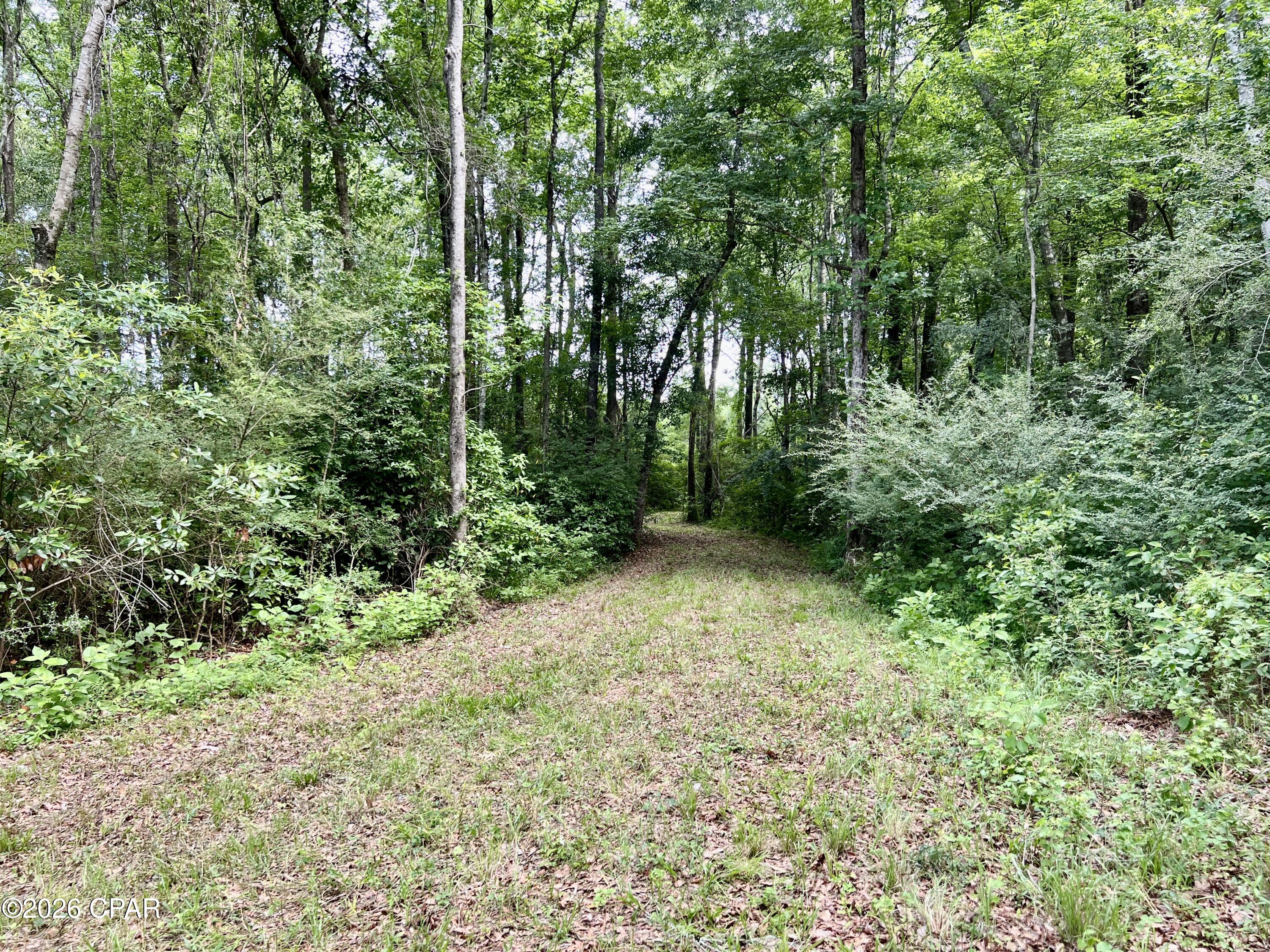 Image 38 For 122ac Hwy 179