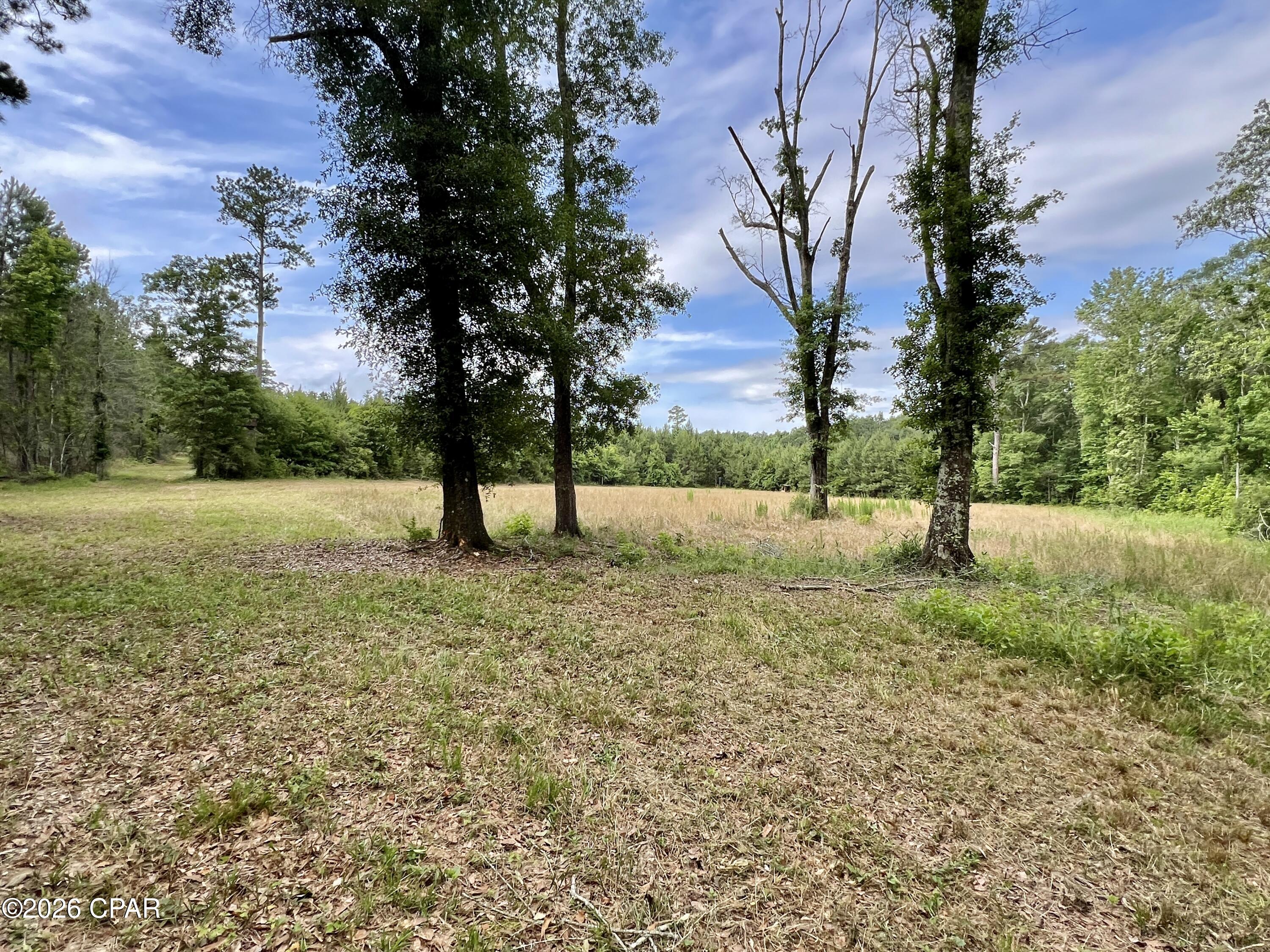 Image 39 For 122ac Hwy 179