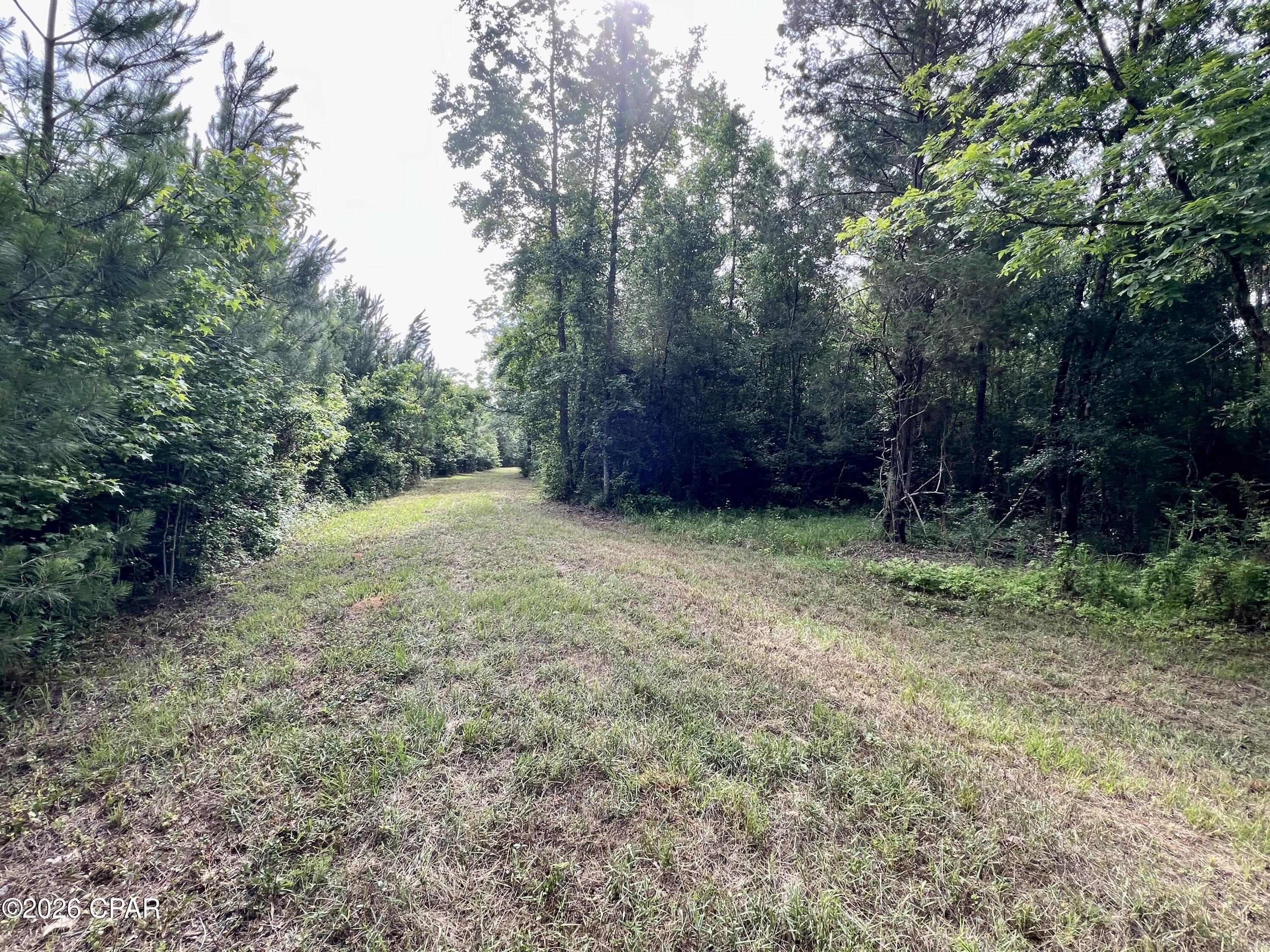 Image 4 For 122ac Hwy 179