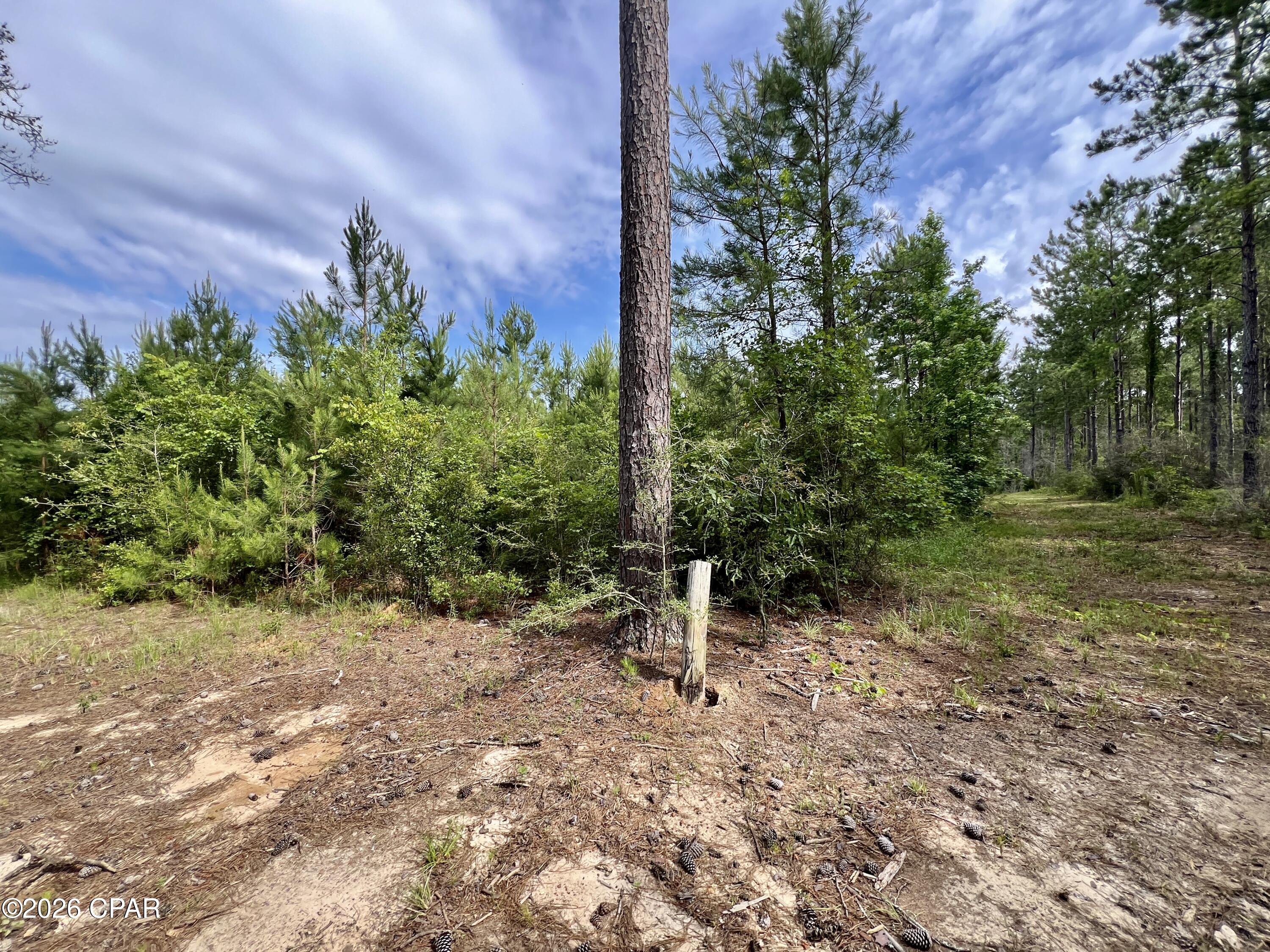 Image 40 For 122ac Hwy 179