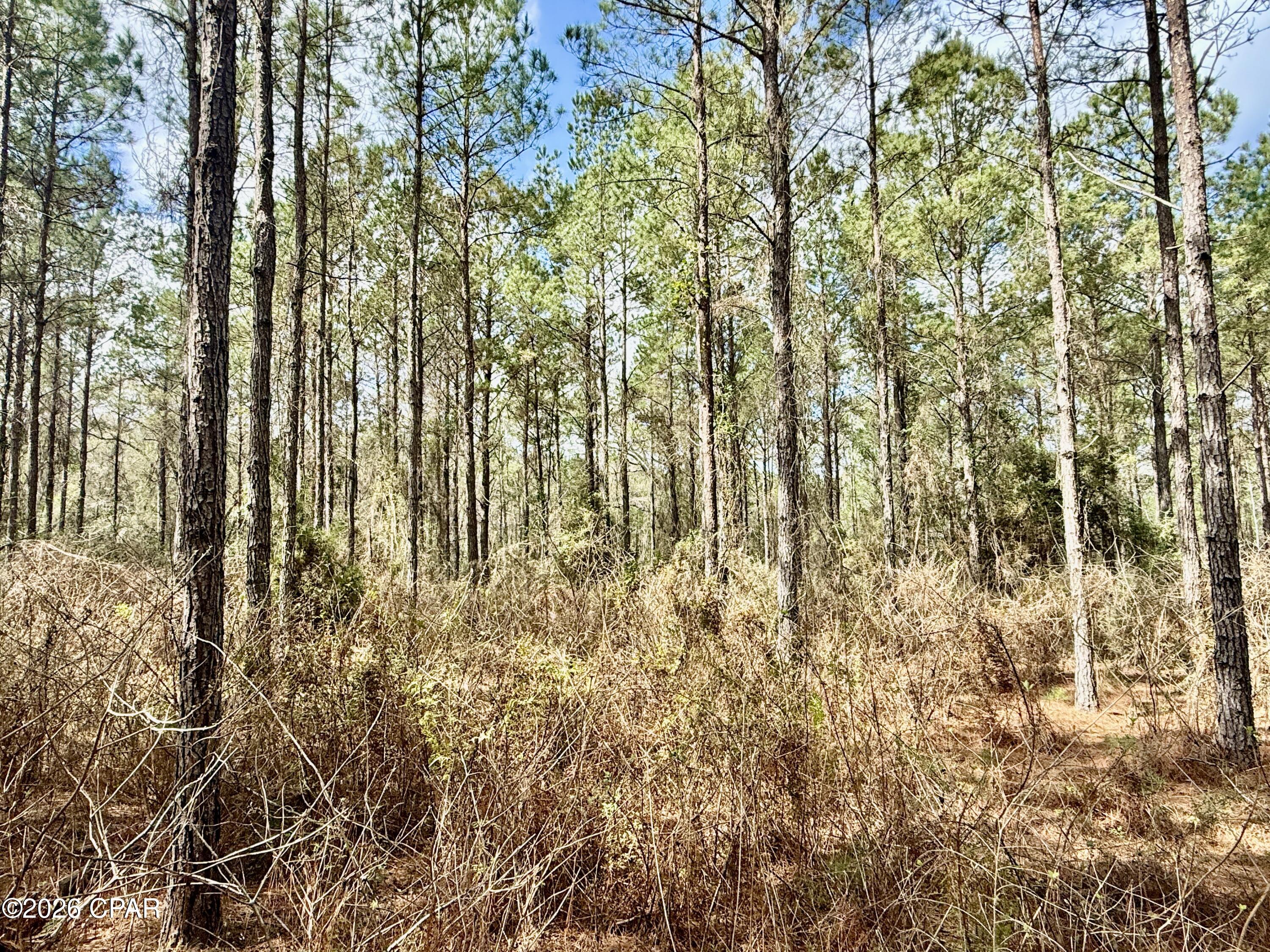 Image 42 For 122ac Hwy 179