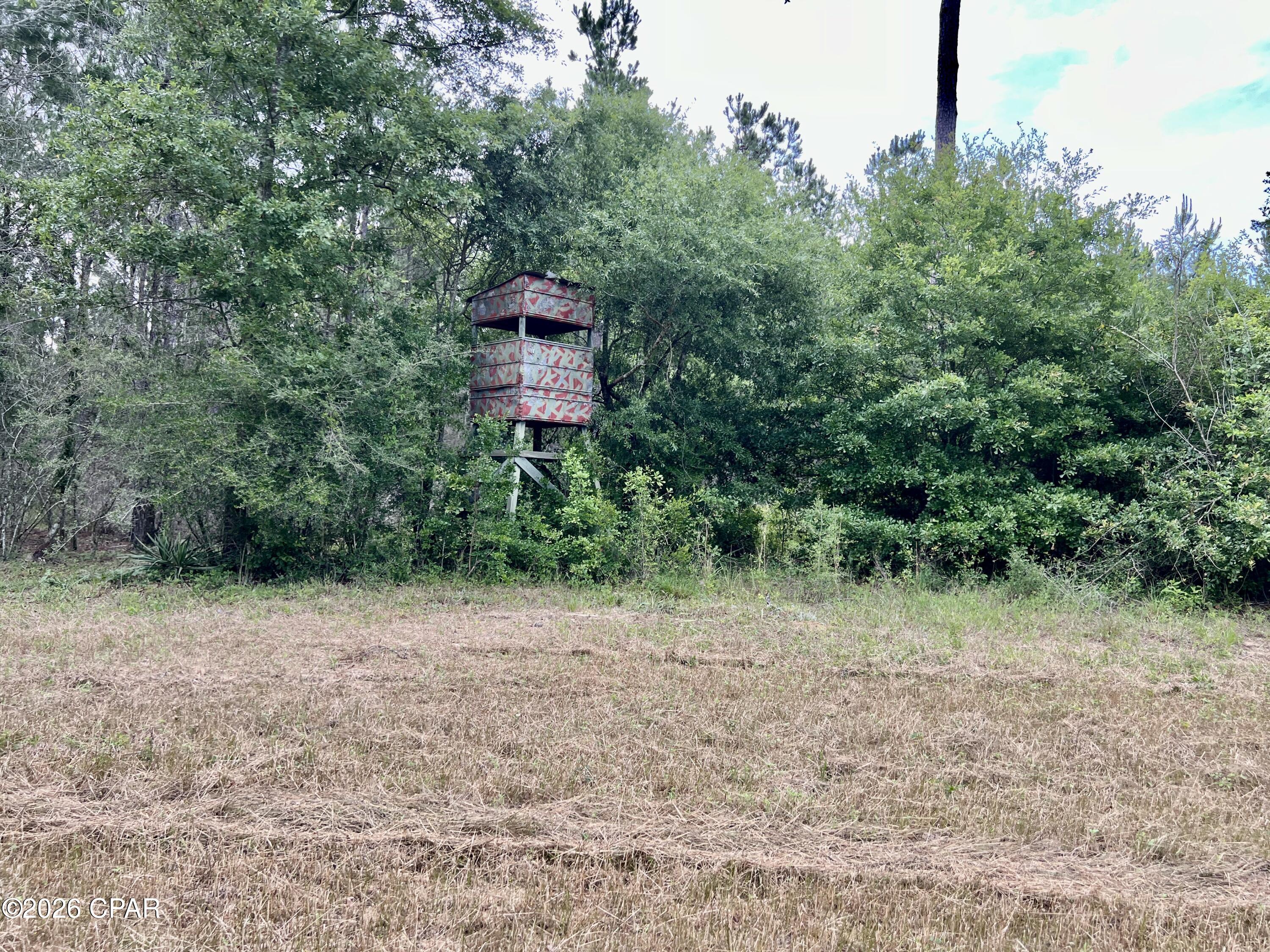 Image 9 For 122ac Hwy 179