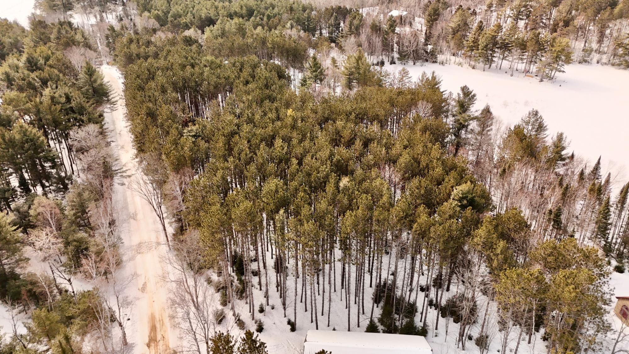 Laurel Lake Property Lot 6 on Bonkowski Rd Photo 11