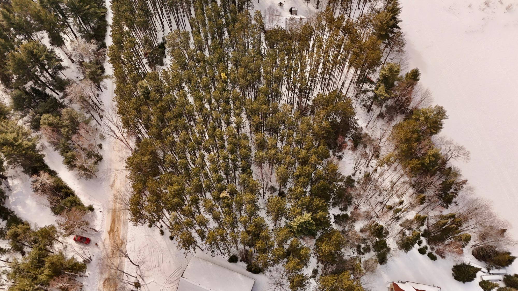 Laurel Lake Property Lot 6 on Bonkowski Rd Photo 12