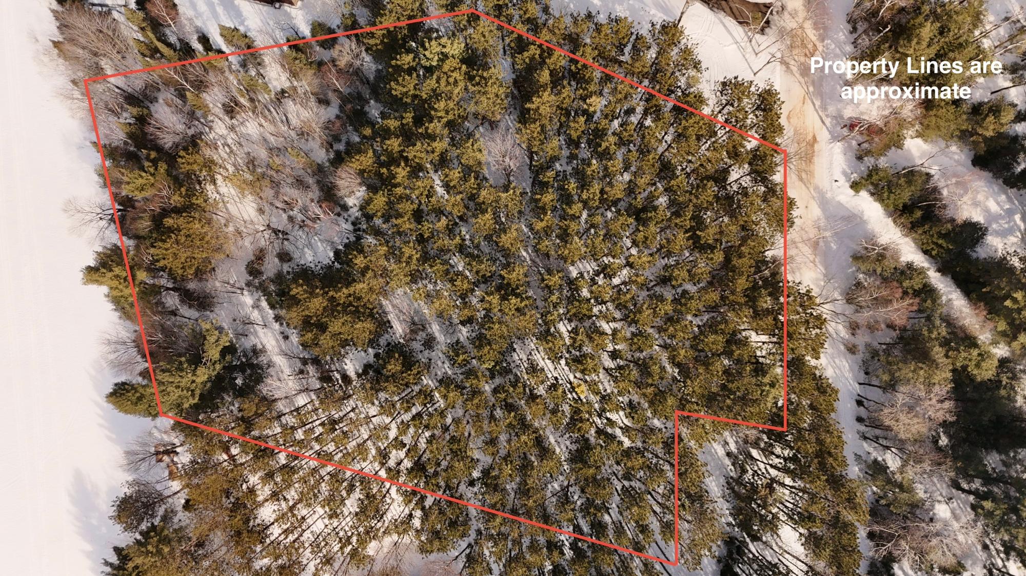 Laurel Lake Property Lot 6 on Bonkowski Rd Photo 2