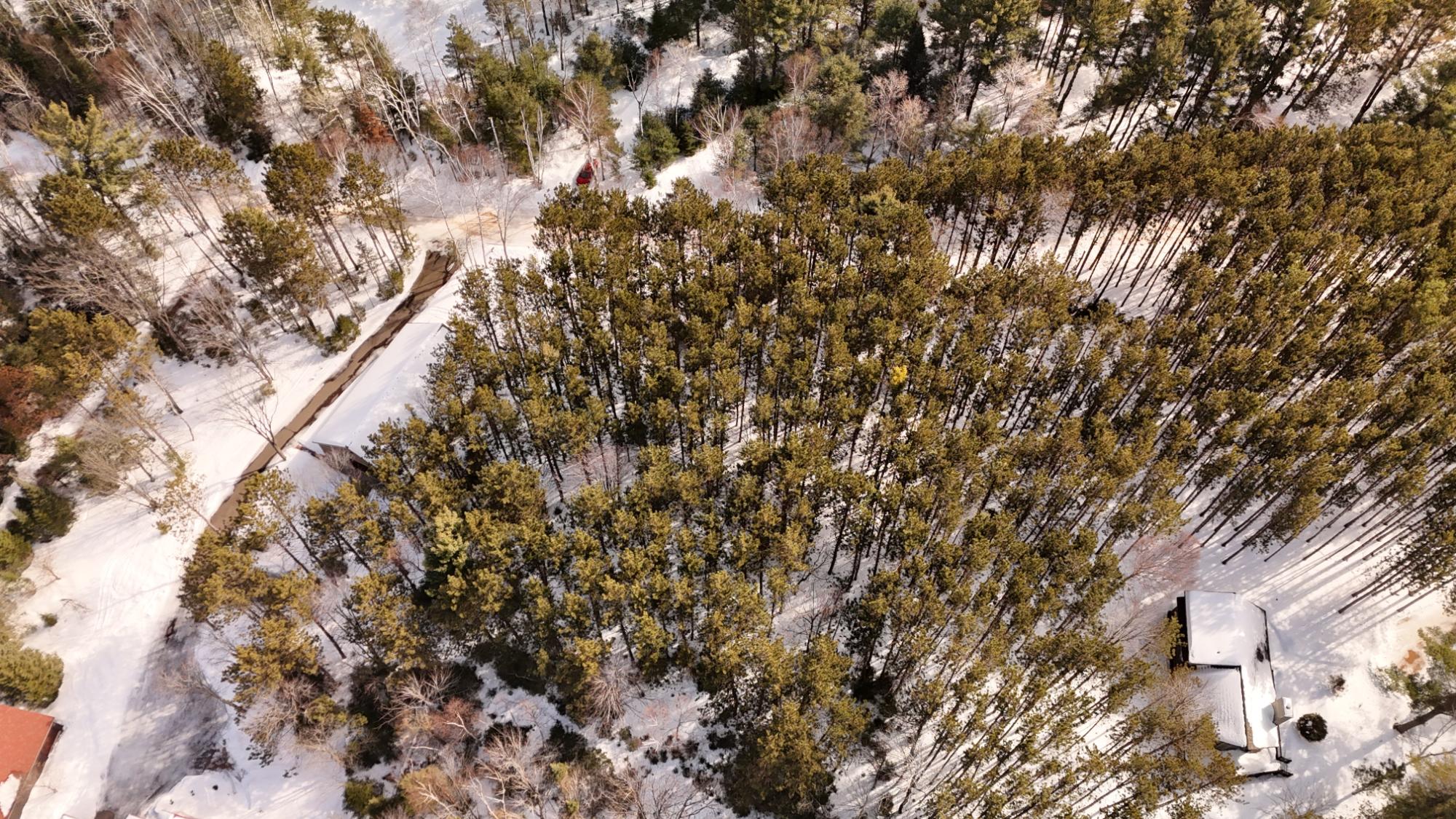 Laurel Lake Property Lot 6 on Bonkowski Rd Photo 7