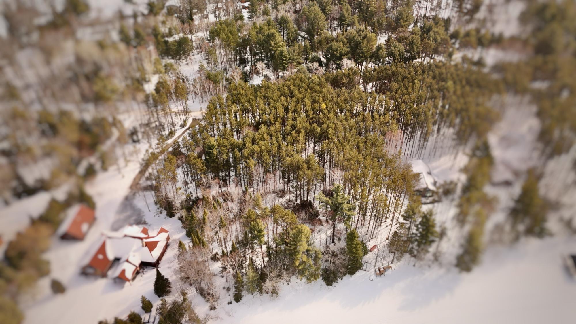 Laurel Lake Property Lot 6 on Bonkowski Rd Photo 8