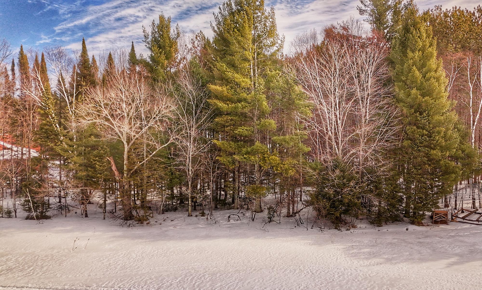 Laurel Lake Property Lot 6 on Bonkowski Rd Photo 9