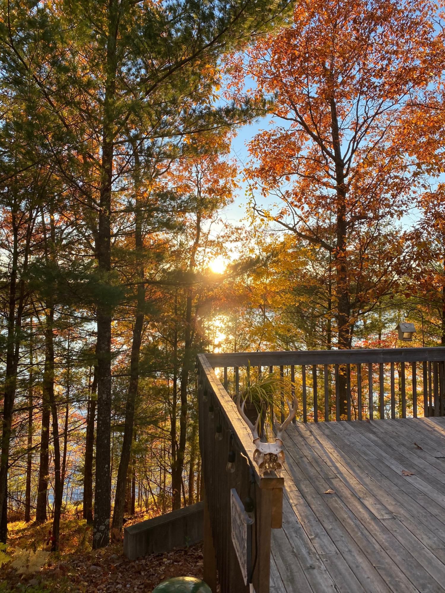 East Horsehead Lake Property 4755 Horsehead Lake Rd Photo 16