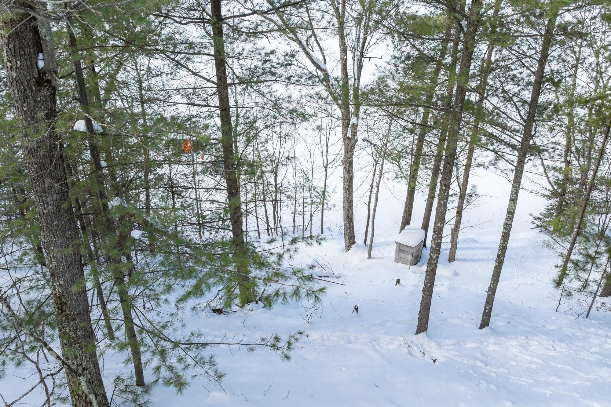 East Horsehead Lake Property 4755 Horsehead Lake Rd Photo 23