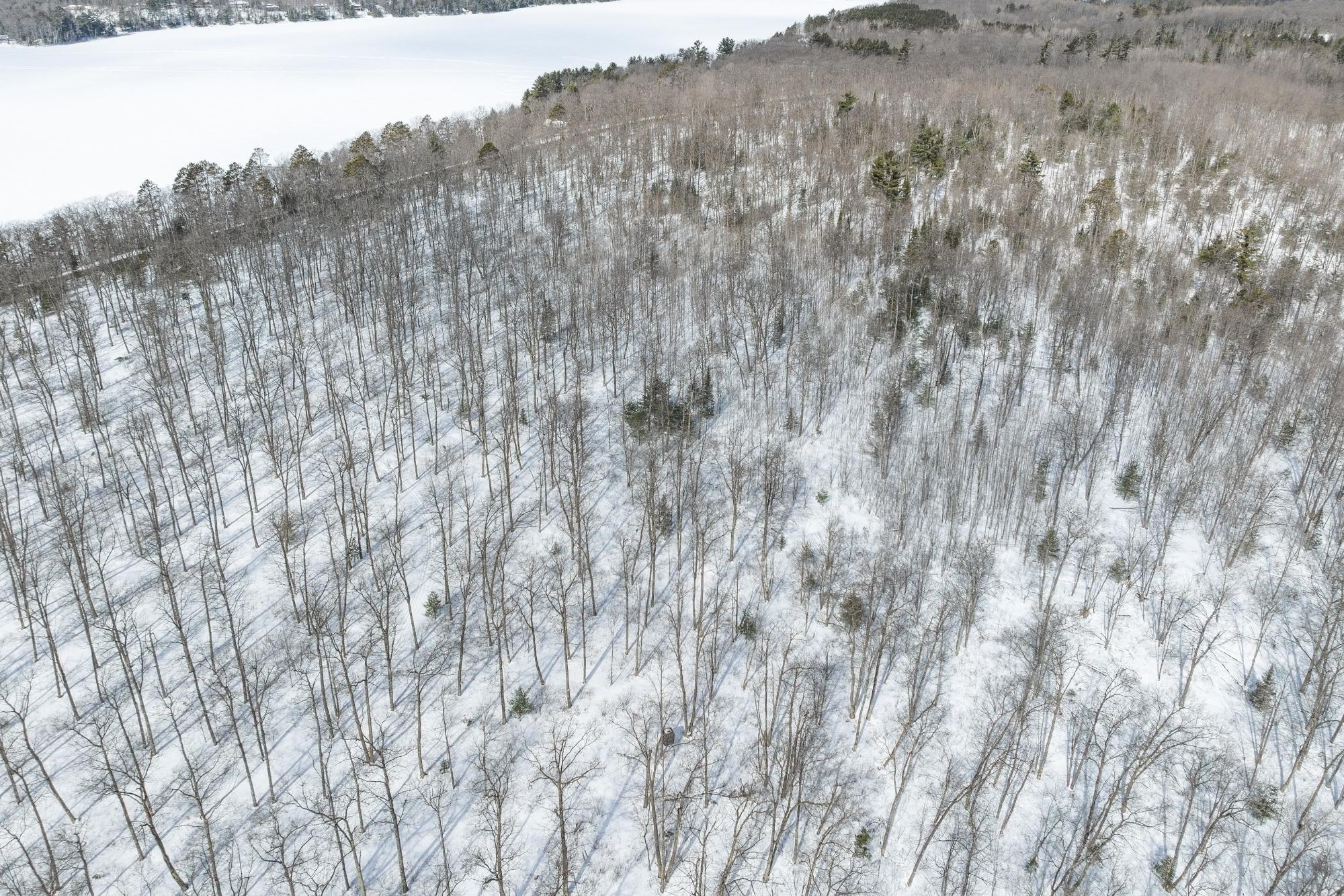 East Horsehead Lake Property 4755 Horsehead Lake Rd Photo 25