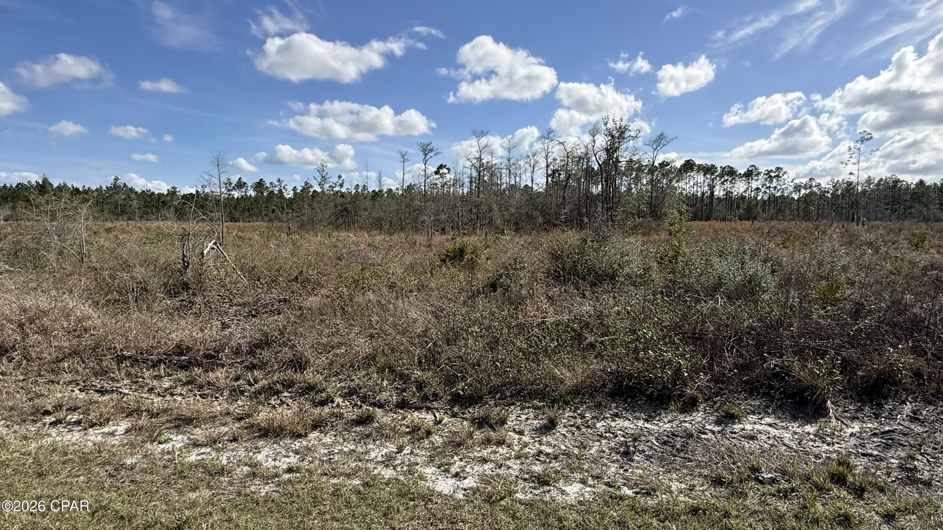 Details for 21703 Beech Valley Valley, Altha, FL 32421