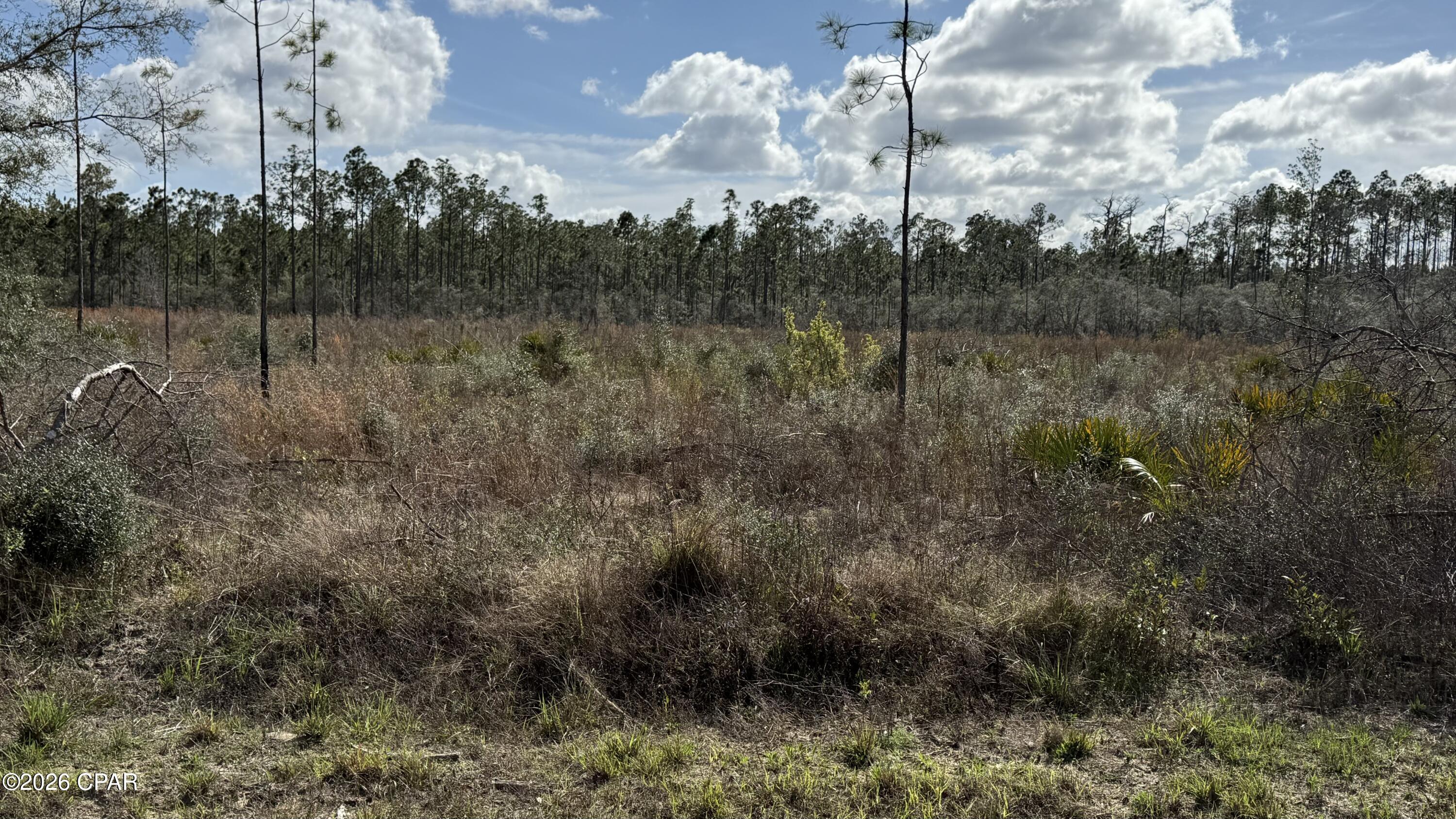 Image 3 For 21703 Beech Valley Valley