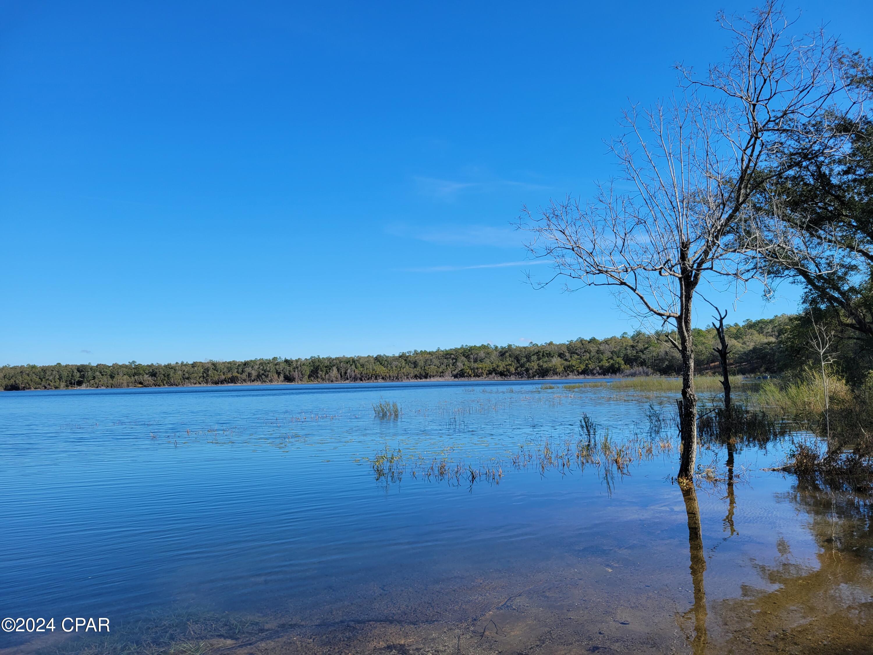 Image 13 For 000 Preakness Place