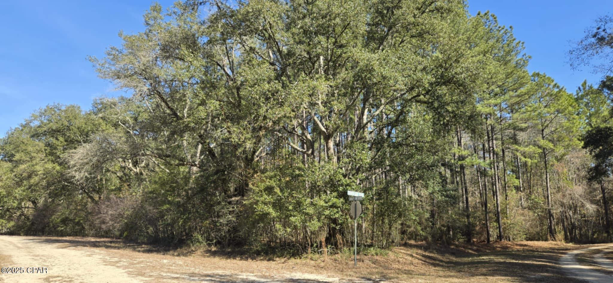 Image 11 For 00 Canopy Oak Blvd
