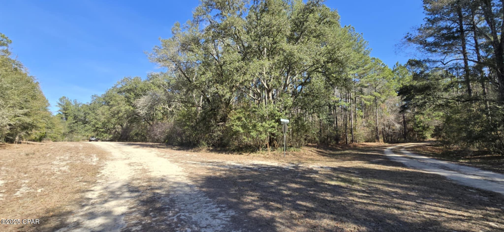 Image 13 For 00 Canopy Oak Blvd