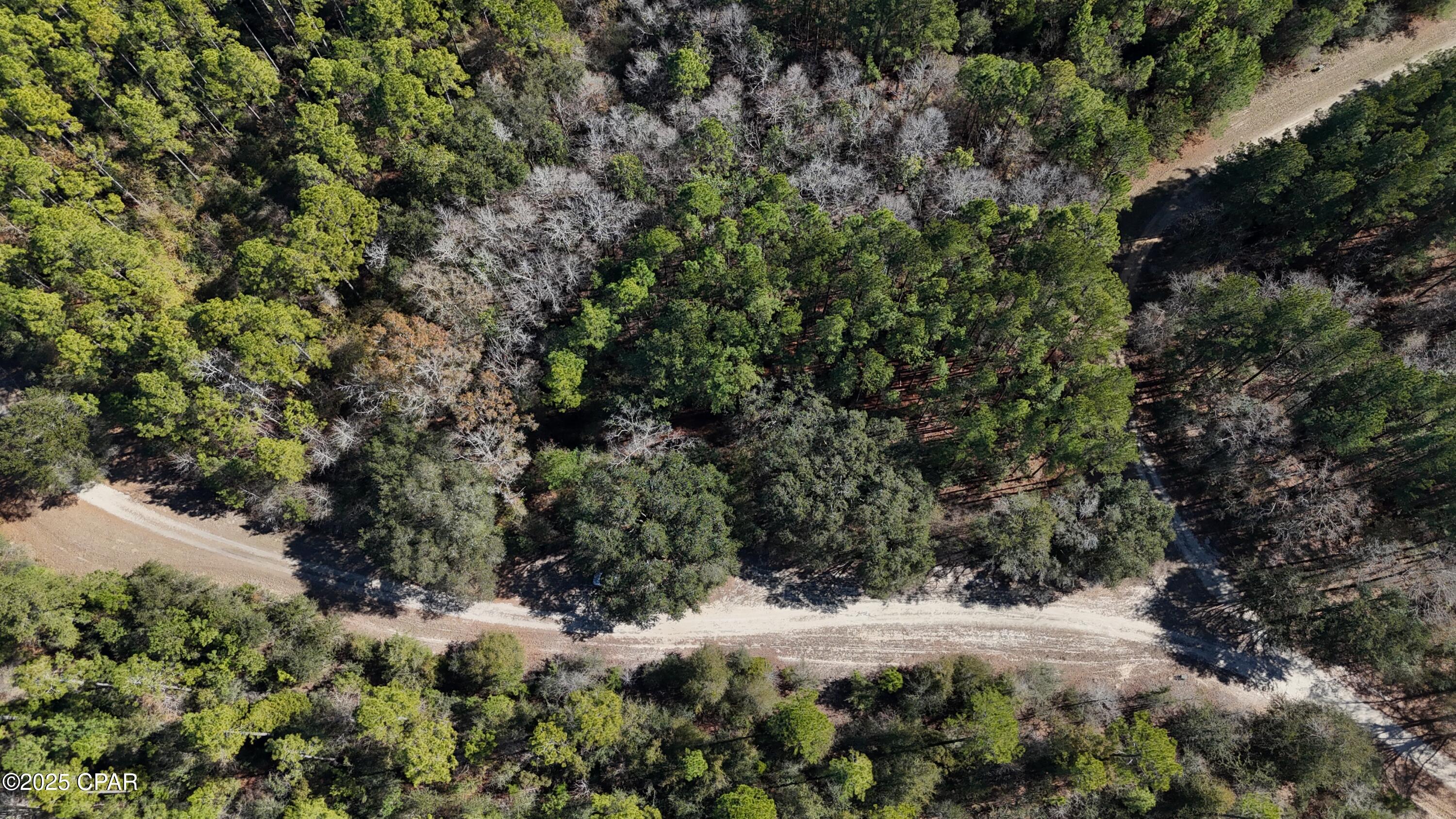 Image 2 For 00 Canopy Oak Blvd