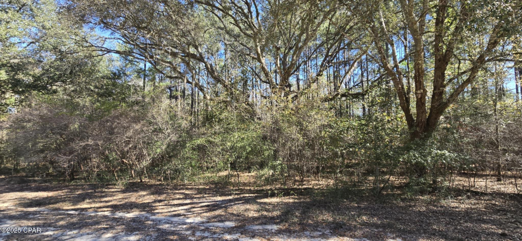 Image 4 For 00 Canopy Oak Blvd