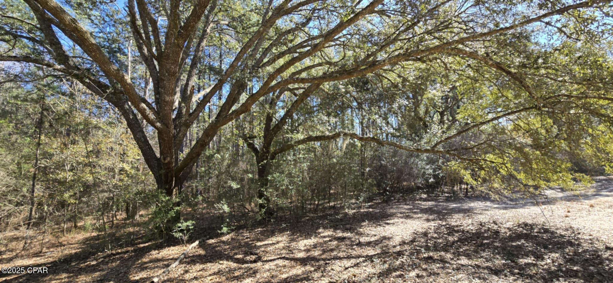 Image 5 For 00 Canopy Oak Blvd