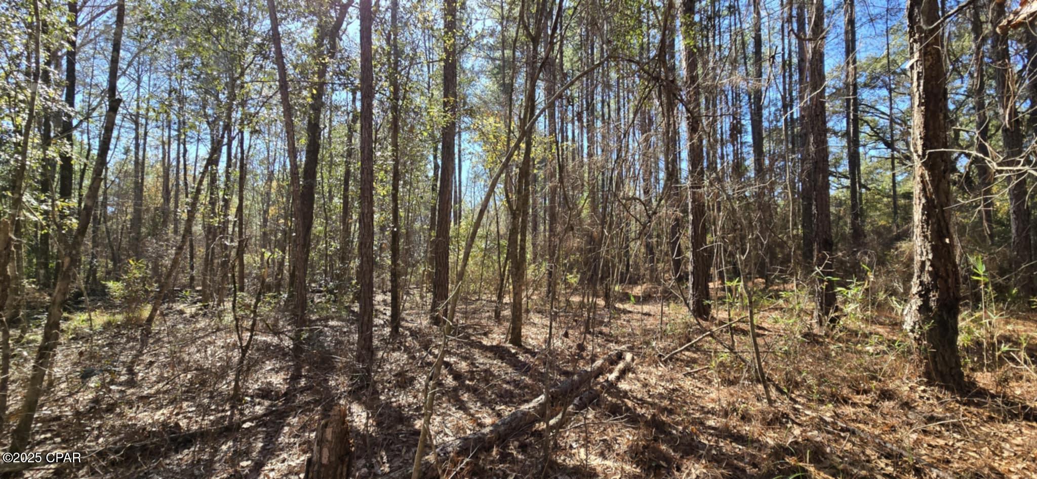 Image 8 For 00 Canopy Oak Blvd