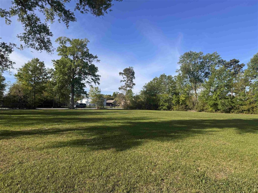 TBD Pine Hill Road — photo 5