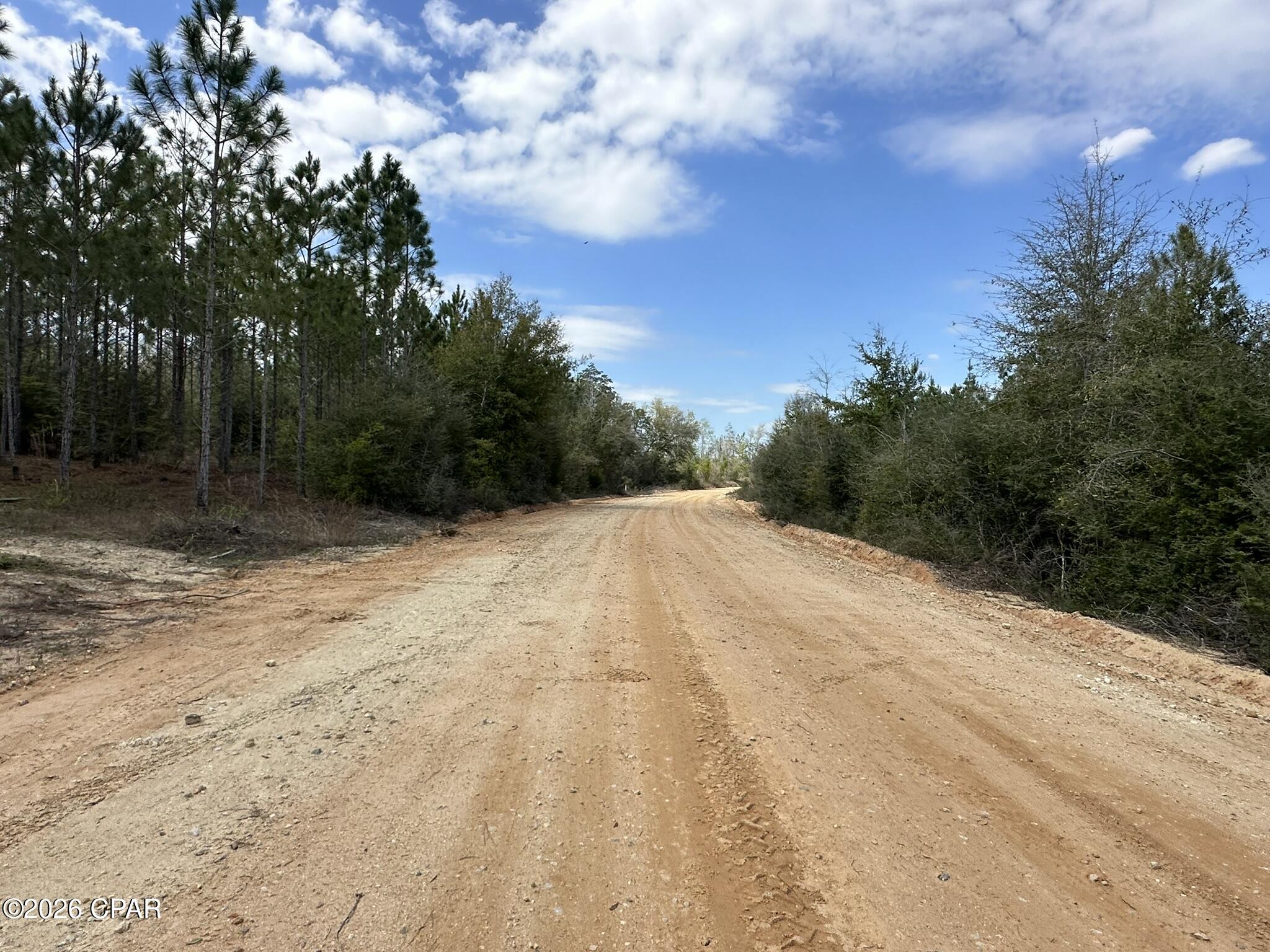 Details for Tract#6418 Mattox Springs Road S2, Caryville, FL 32427