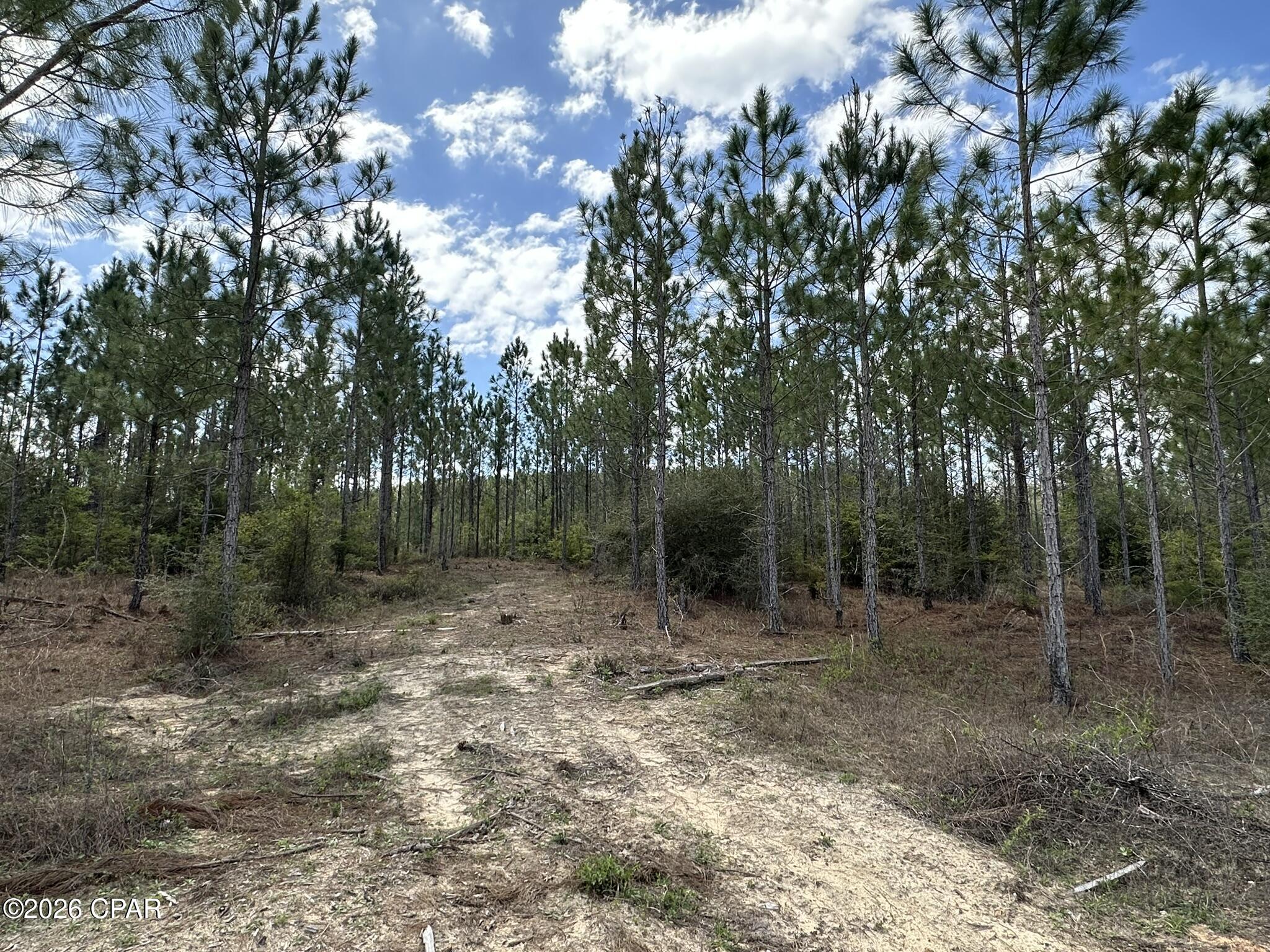 Image 2 For Tract#6418 Mattox Springs Road S2