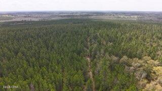 Details for Tract#6418 Mattox Springs Road S3, Caryville, FL 32427